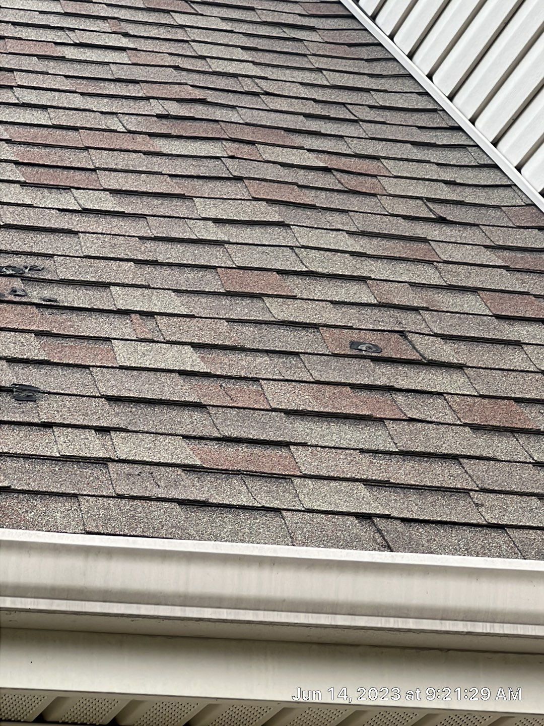 Estate Gray Shingles by Reimagine Roofing
