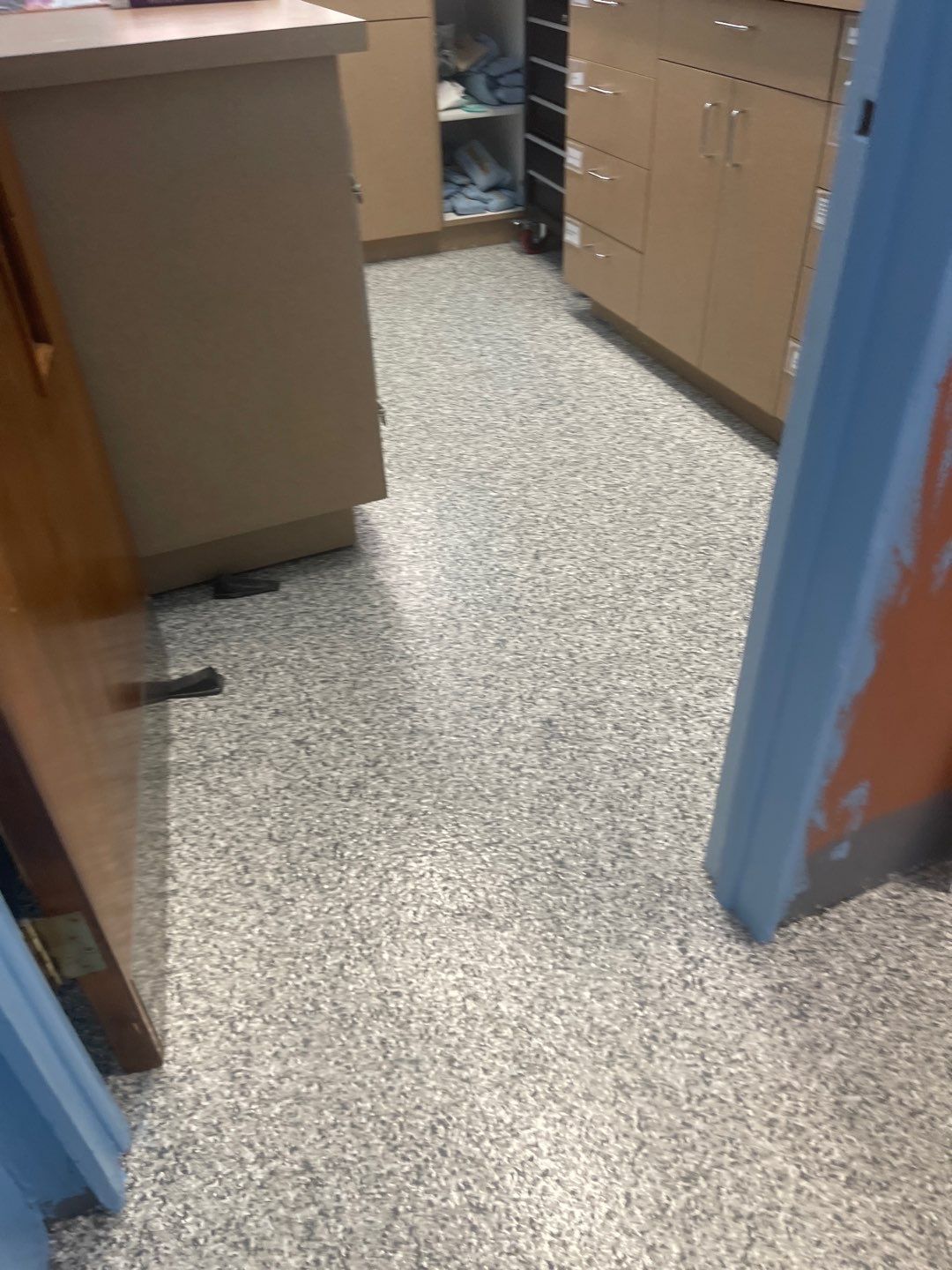Cat Hospital Project in Pittsburgh by Floors in a Day, Inc