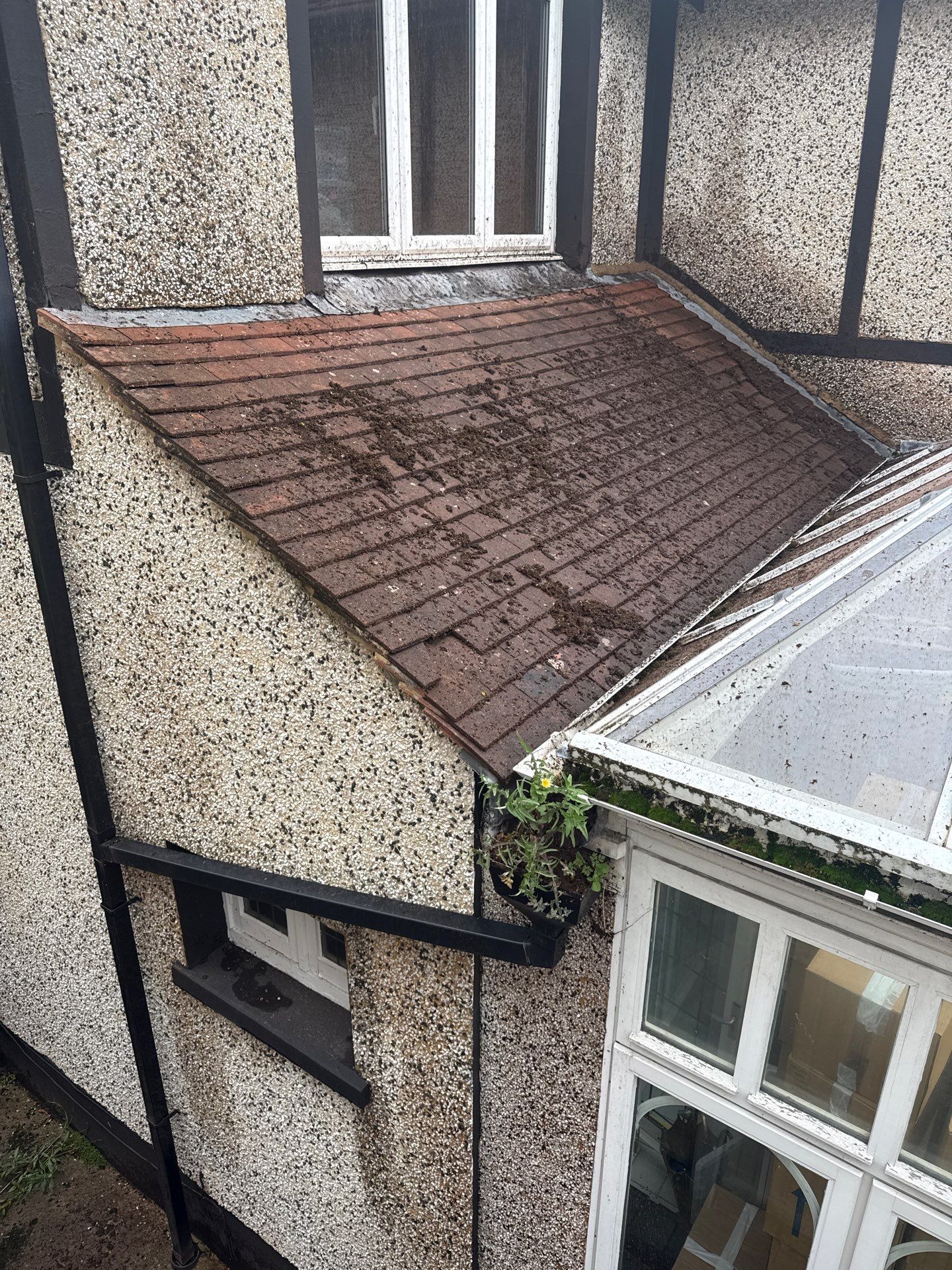 Roof Clean by Ges Exterior Cleaning ltd