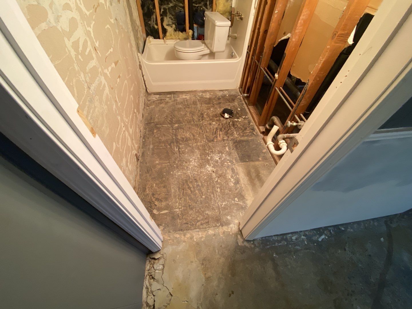 Basement using Silver Creek by Select Painting, Coatings & Garage Cabinets