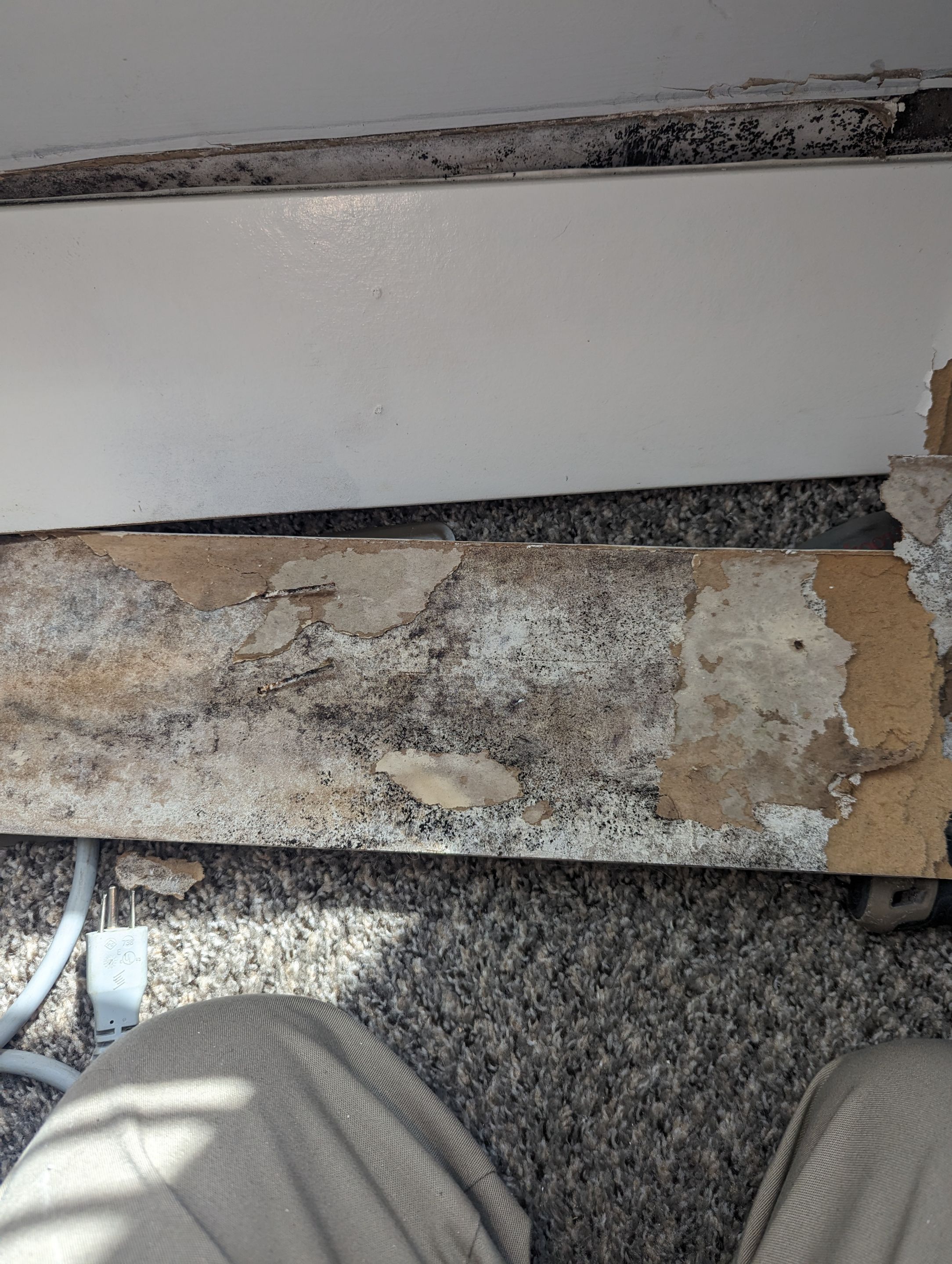 Mold Remediation in Jeffersonville, IN by ANR Restoration