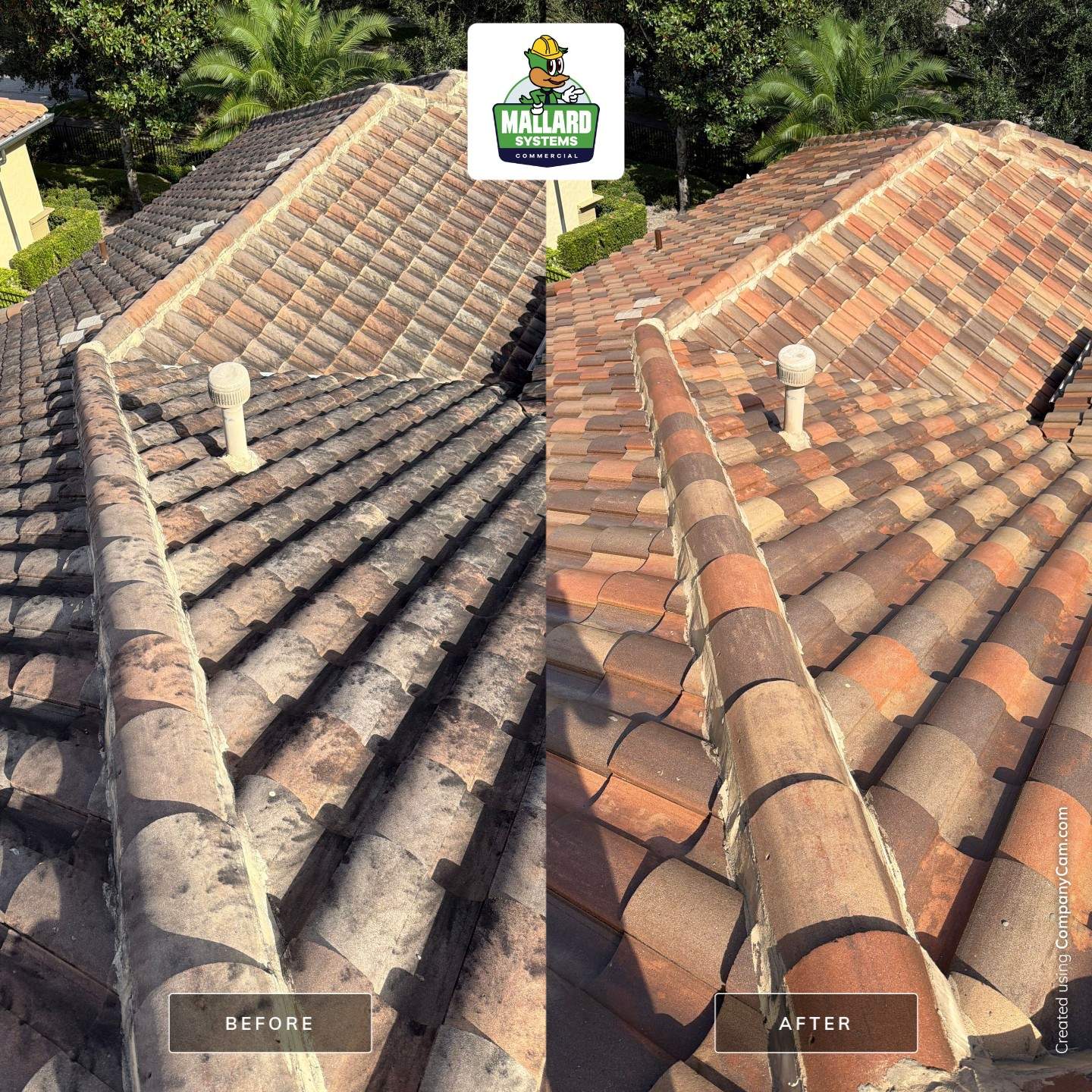 Tile Roof Cleaning for Winter Park Residence by Mallard Systems