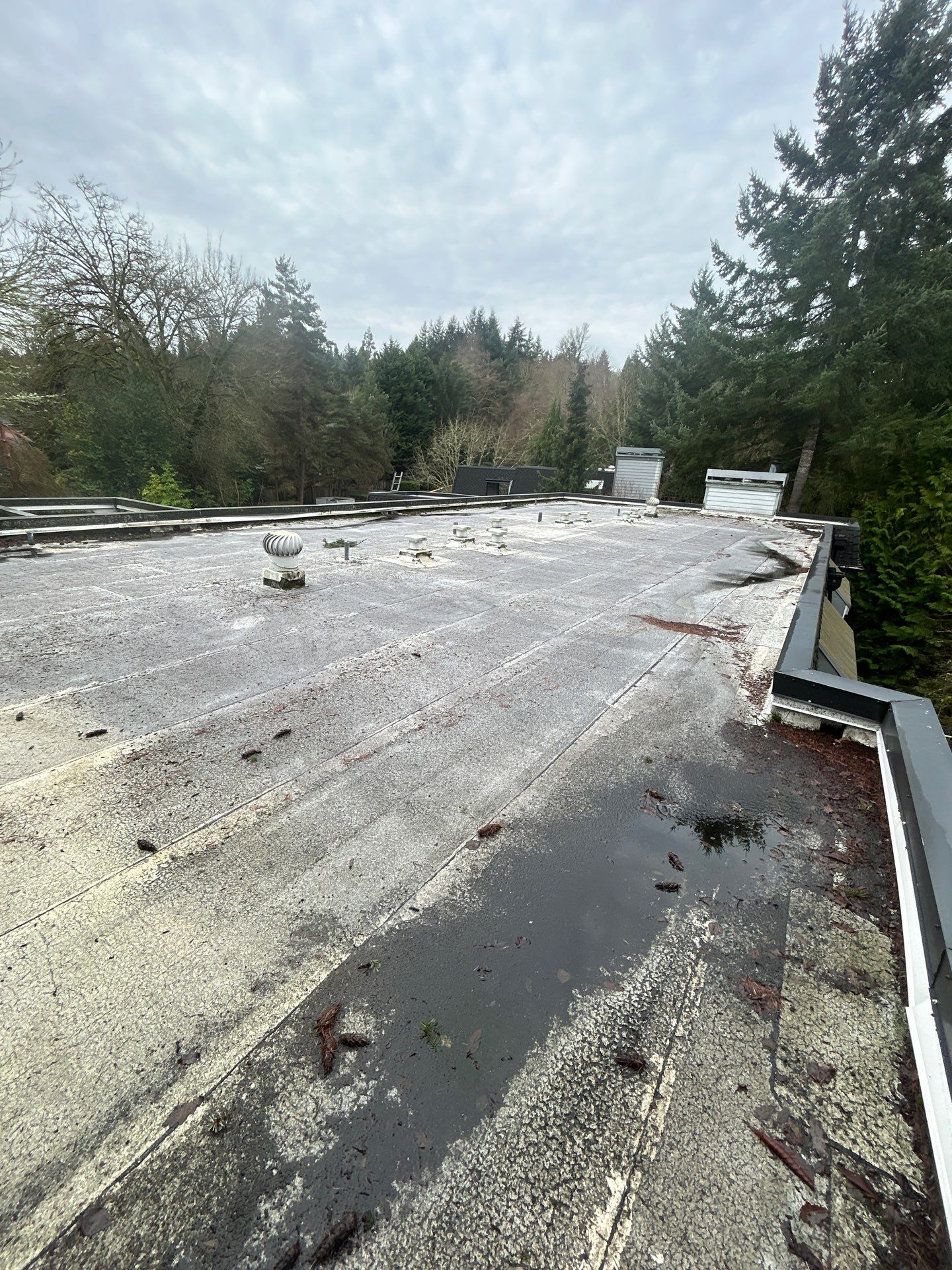 Project in Kirkland by Peaks and Valleys Construction