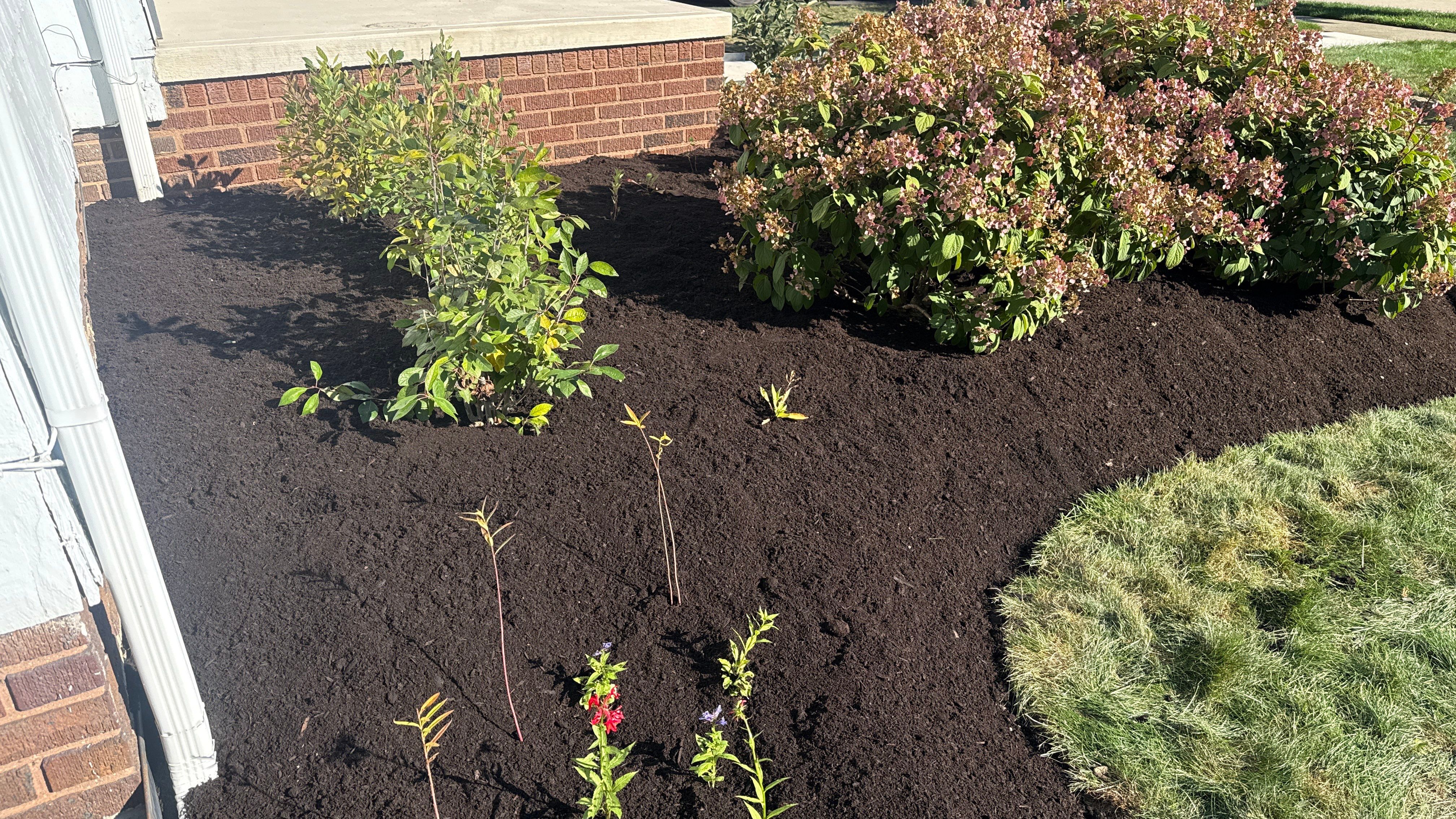 Ohio Native Meadow by Elm Rose Gardens