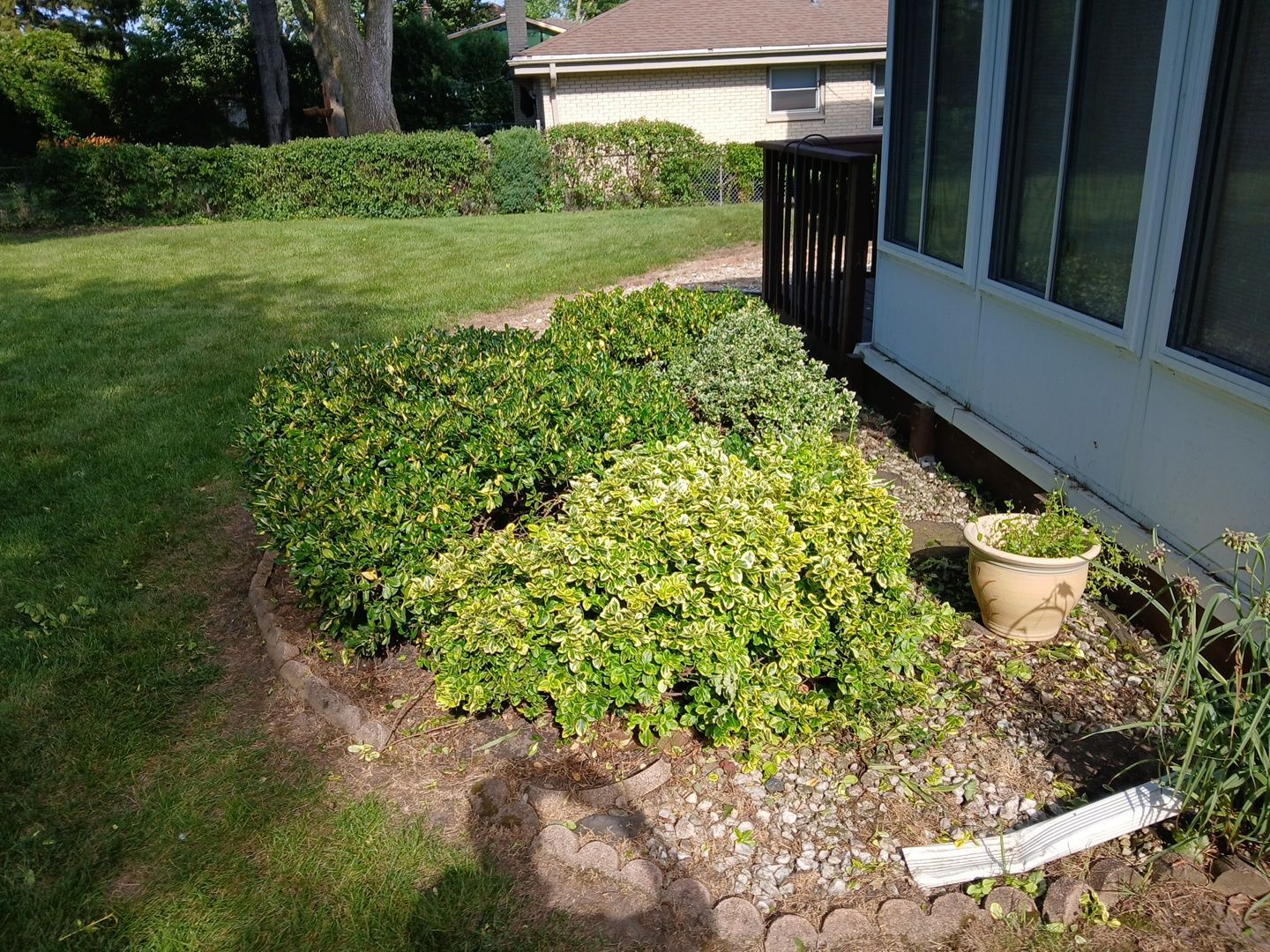 Andrew L. - Arlington Heights, IL by A&N