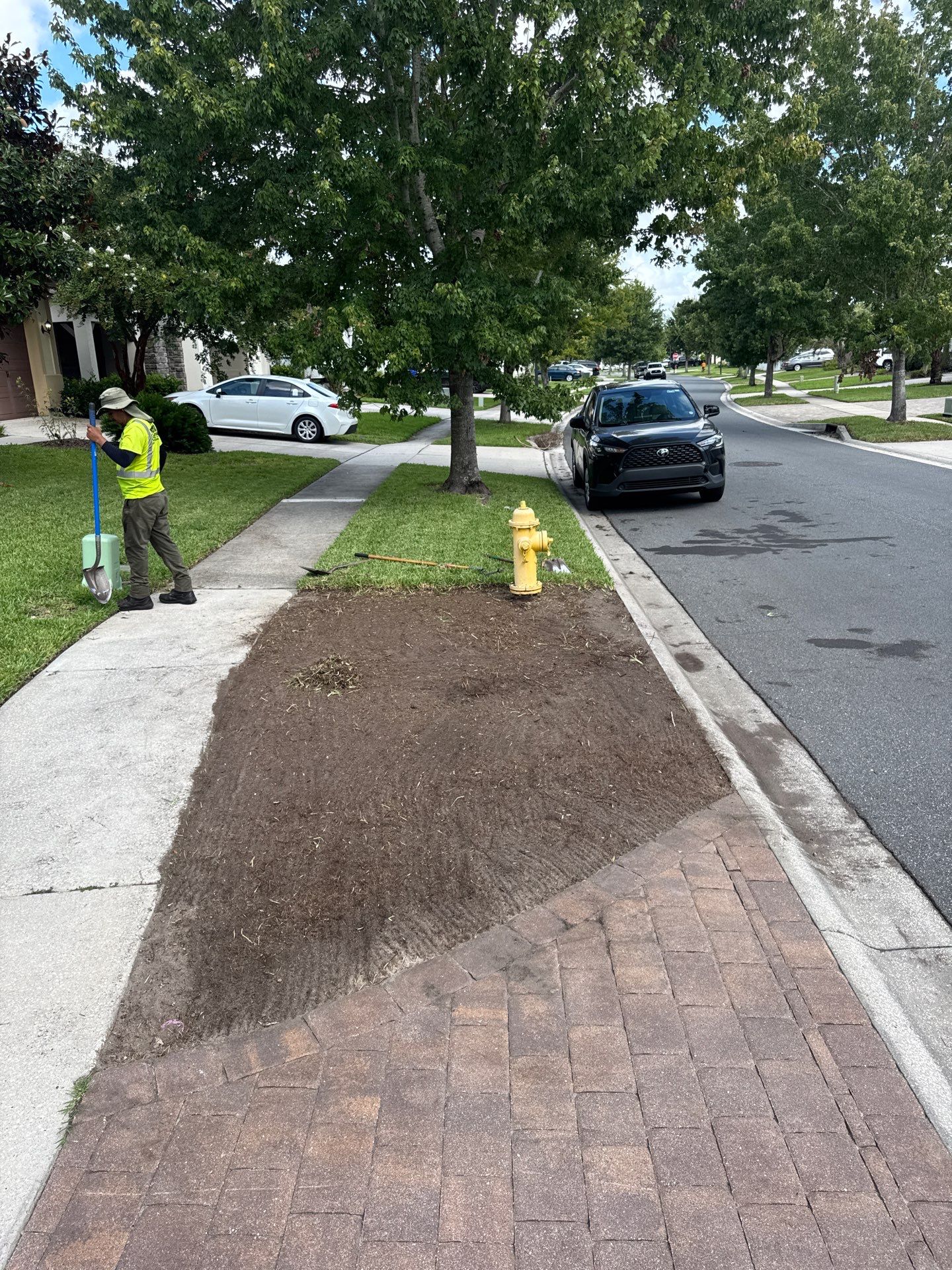 Residential | Sod Installation by ProGreen Services