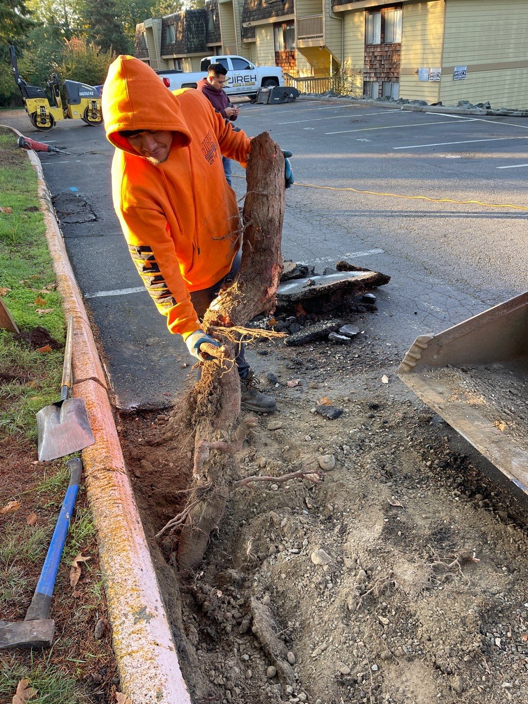 Dana | Asphalt Parking Lot Repair, Sealcoat & Striping by Jireh Asphalt & Concrete Inc 