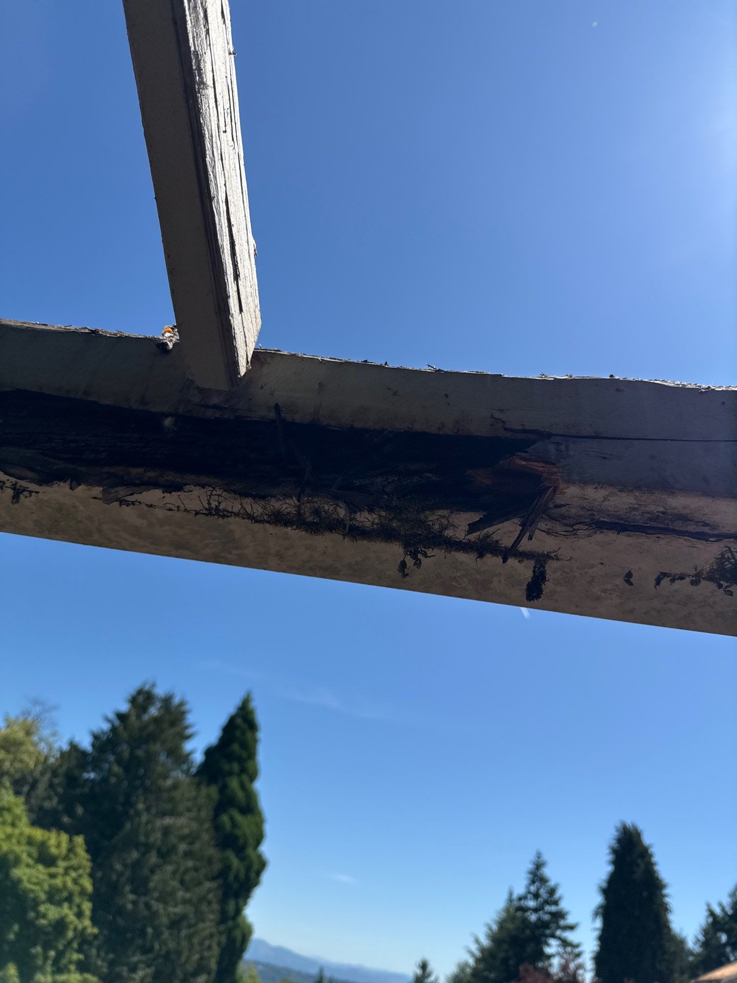 Seatac WA, Roof and Fence Replacement  by Proline Roofing & Restoration LLC