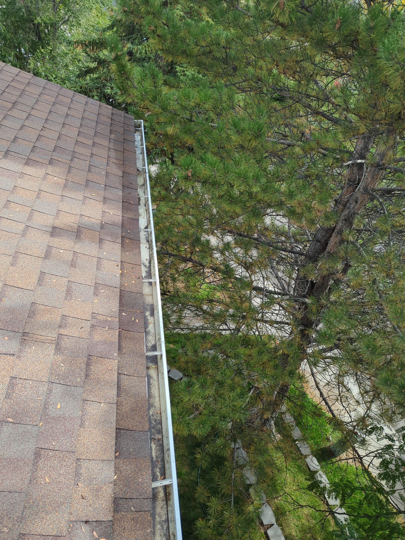 Commercial gutter cleaning Bozeman, MT after photo with clean gutters