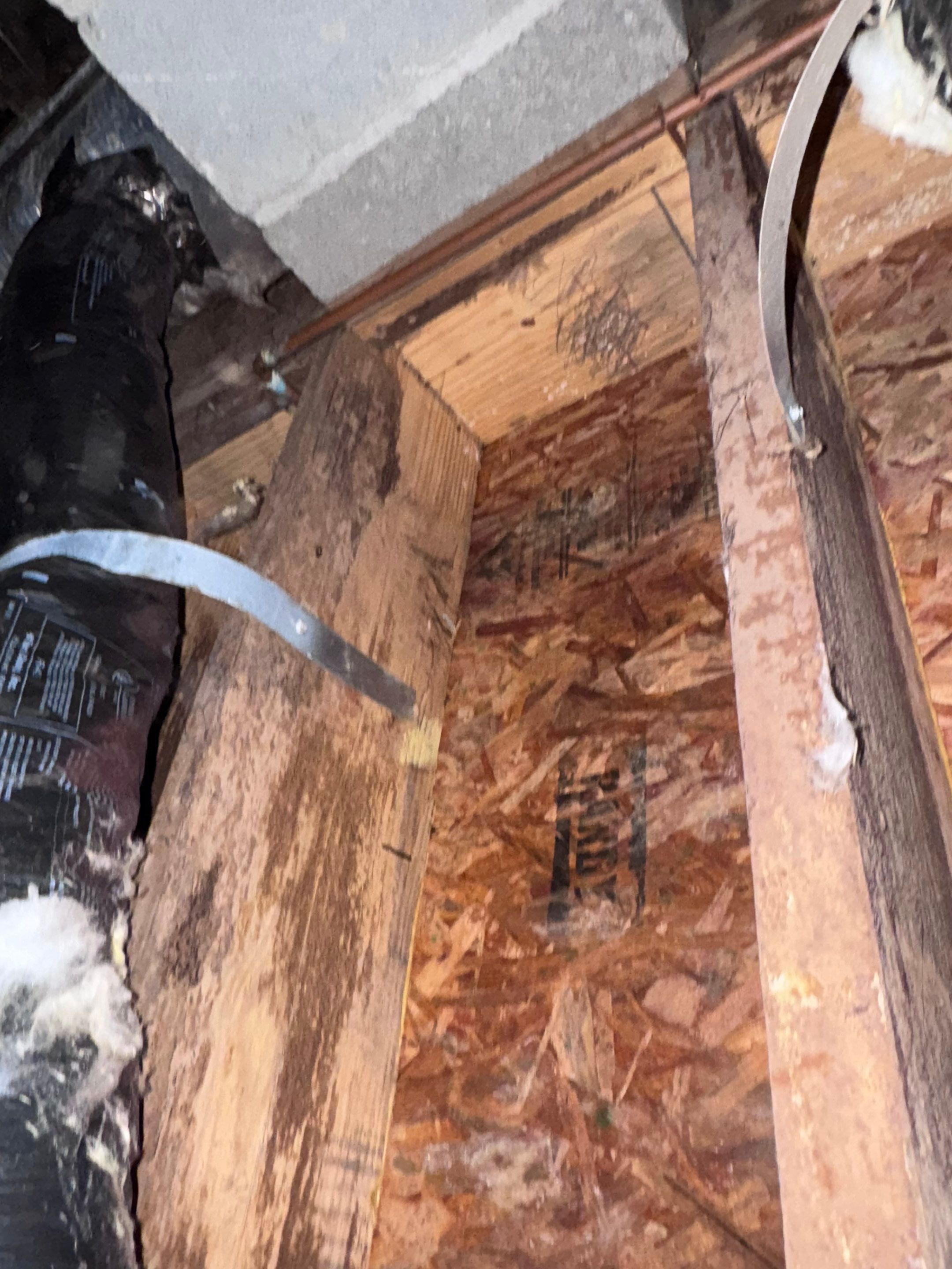 Structural Repairs inludiing sub-floor removal, new floor joists installed, girder replacmeent and dropped girder installed. by Impact Crawlspace