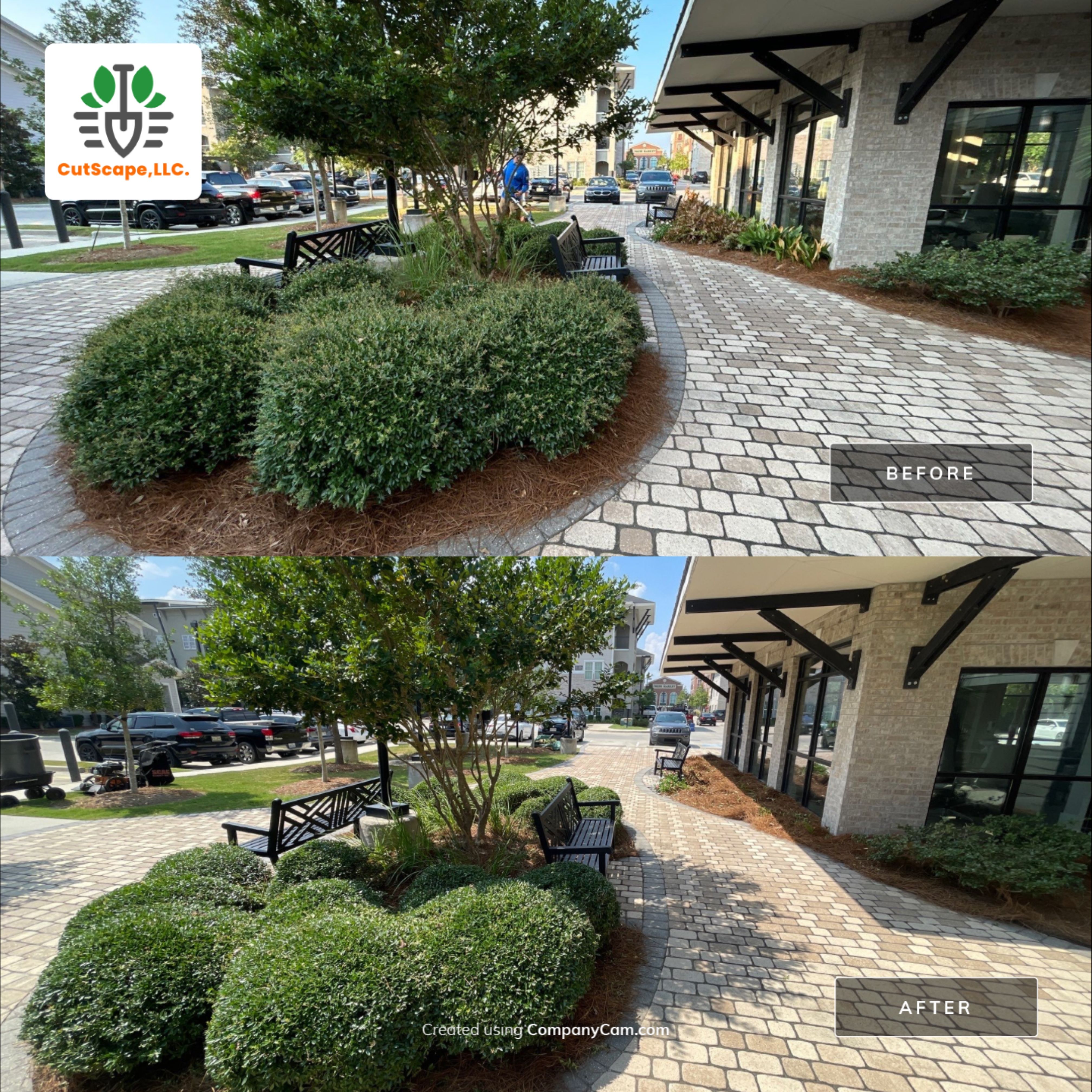 MULTI FAMILY PROPERTY: HEDGE TRIM / BED CLEAN by CutScape, LLC.