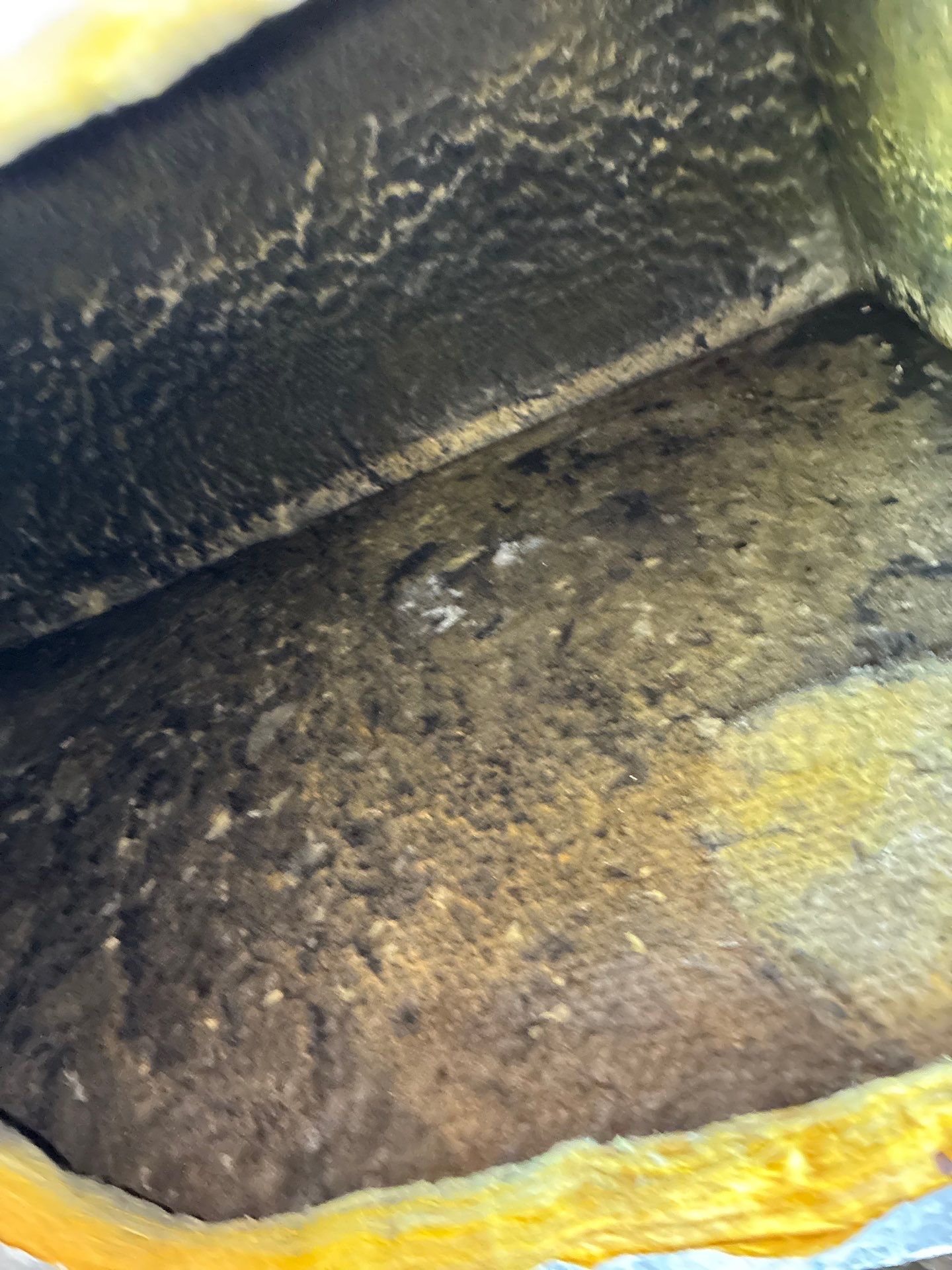 AIr Duct Cleaning in Clermont by Hygienic Air, Inc