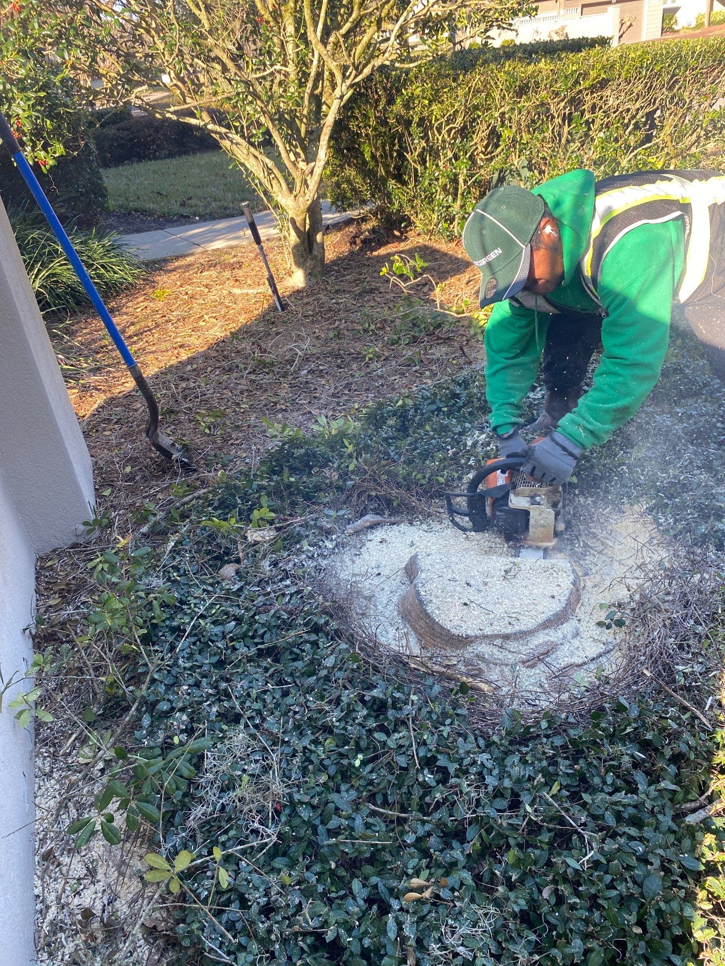 Deerwood Resident | Tree Removal & Trench by ProGreen Services