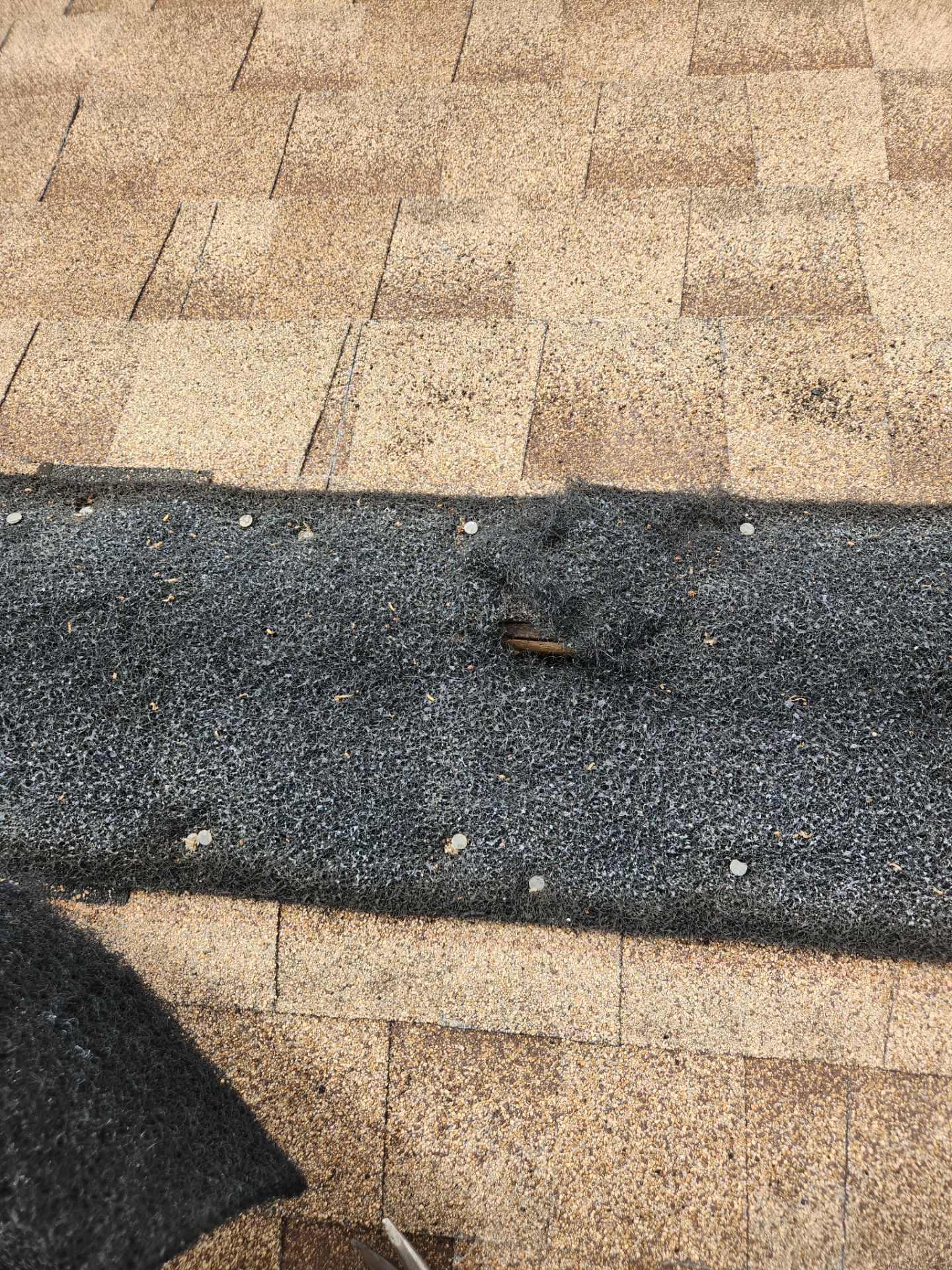 Residential Shingle Roof Repair and Maintenance in Pompano Beach by Aastro Roofing