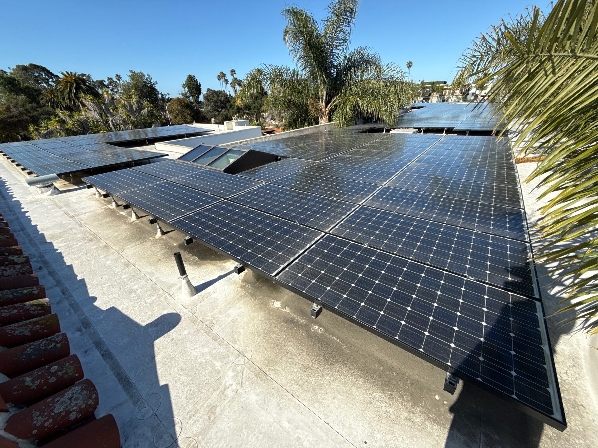Commercial Solar Cleaning by Sunrise 805
