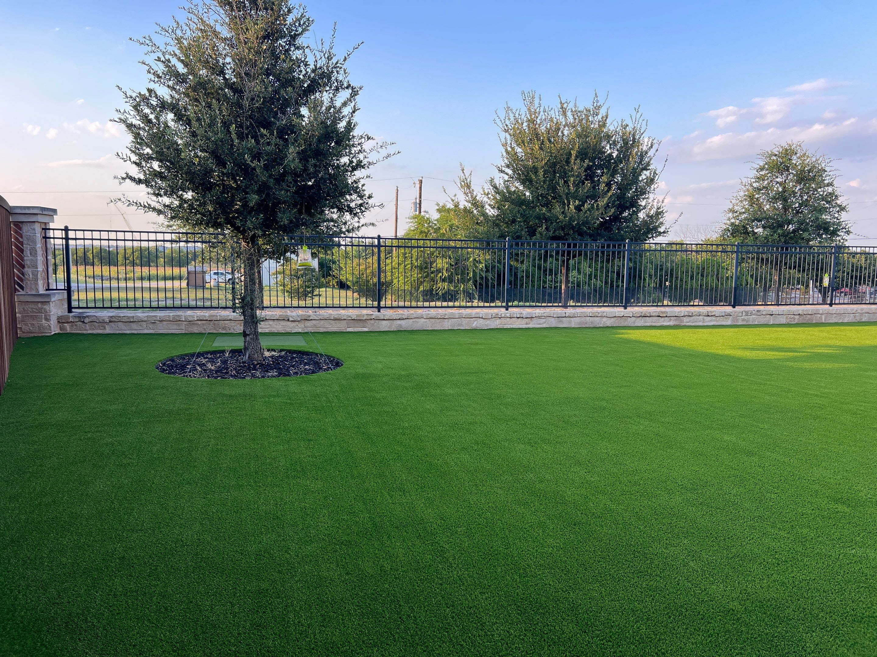 Project in Prosper by Turf Concepts