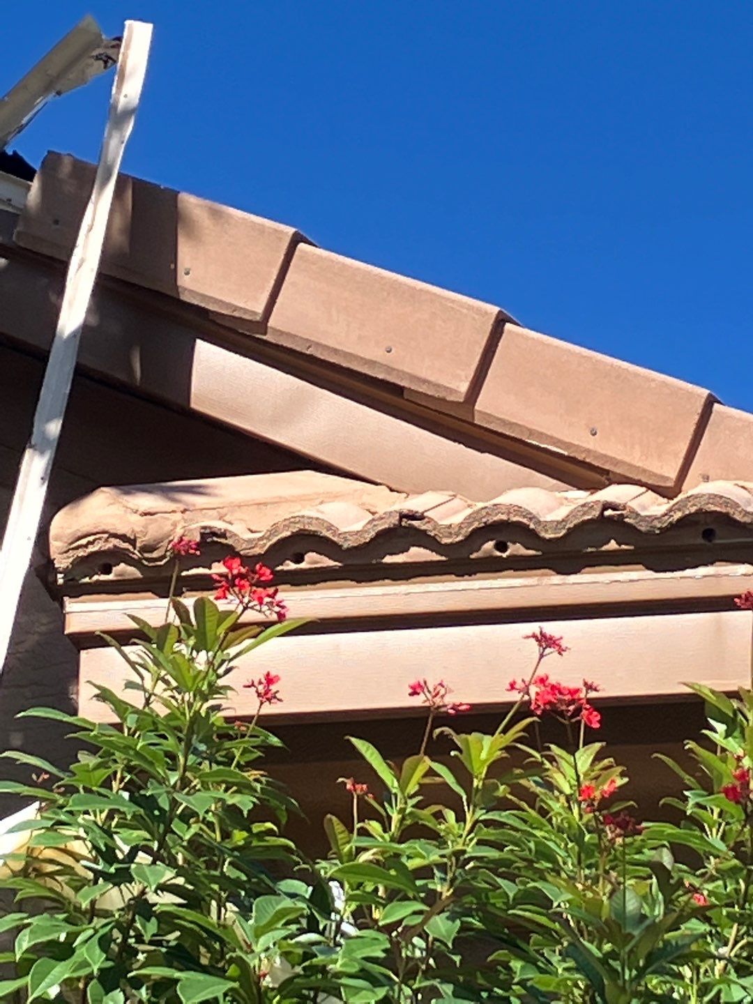 Project in Palm Harbor 34685 by Mitchell Roofing Company LLC 