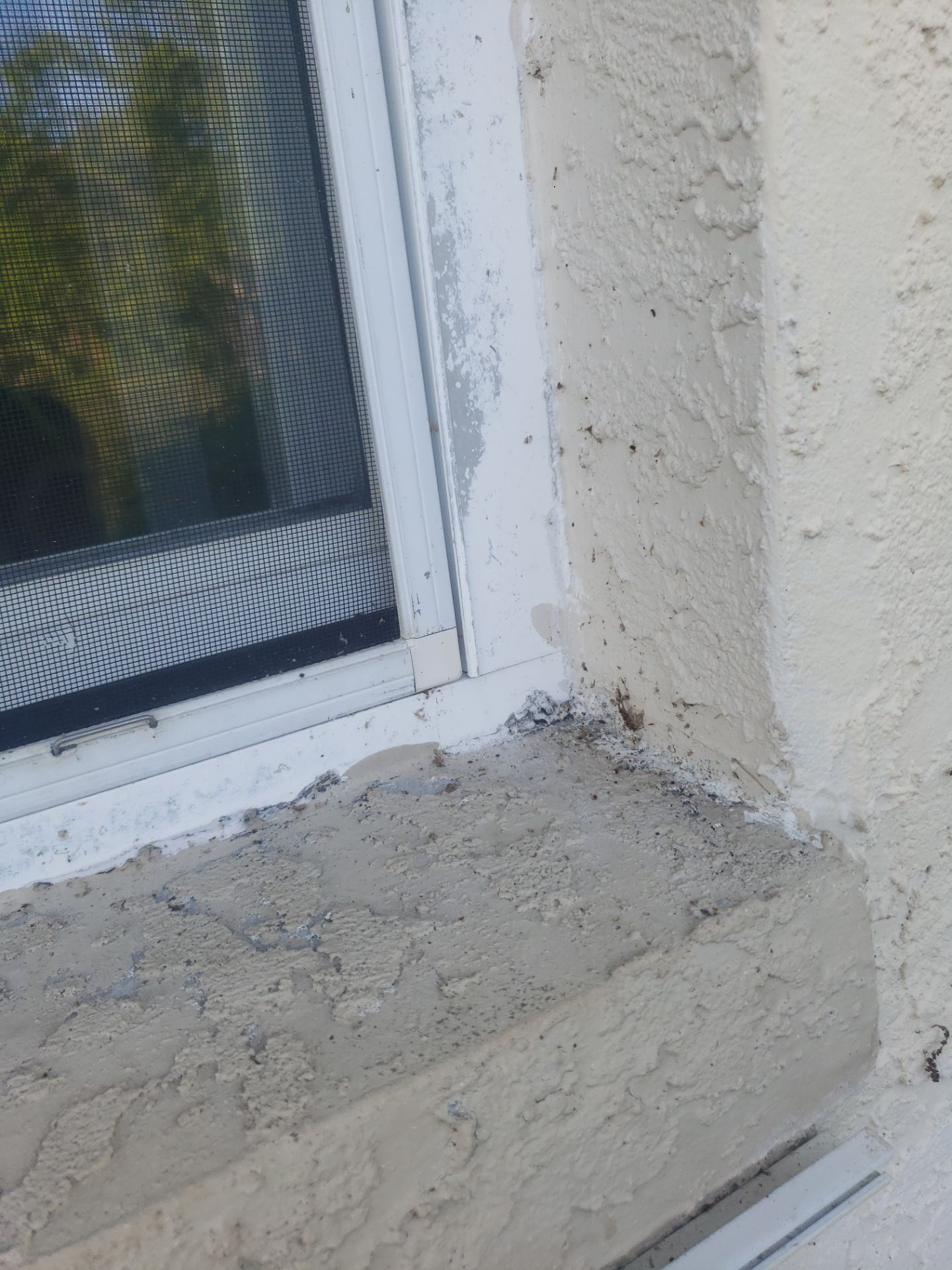 CoolWall Project in Bonita Springs by Sunbelt Home Solutions