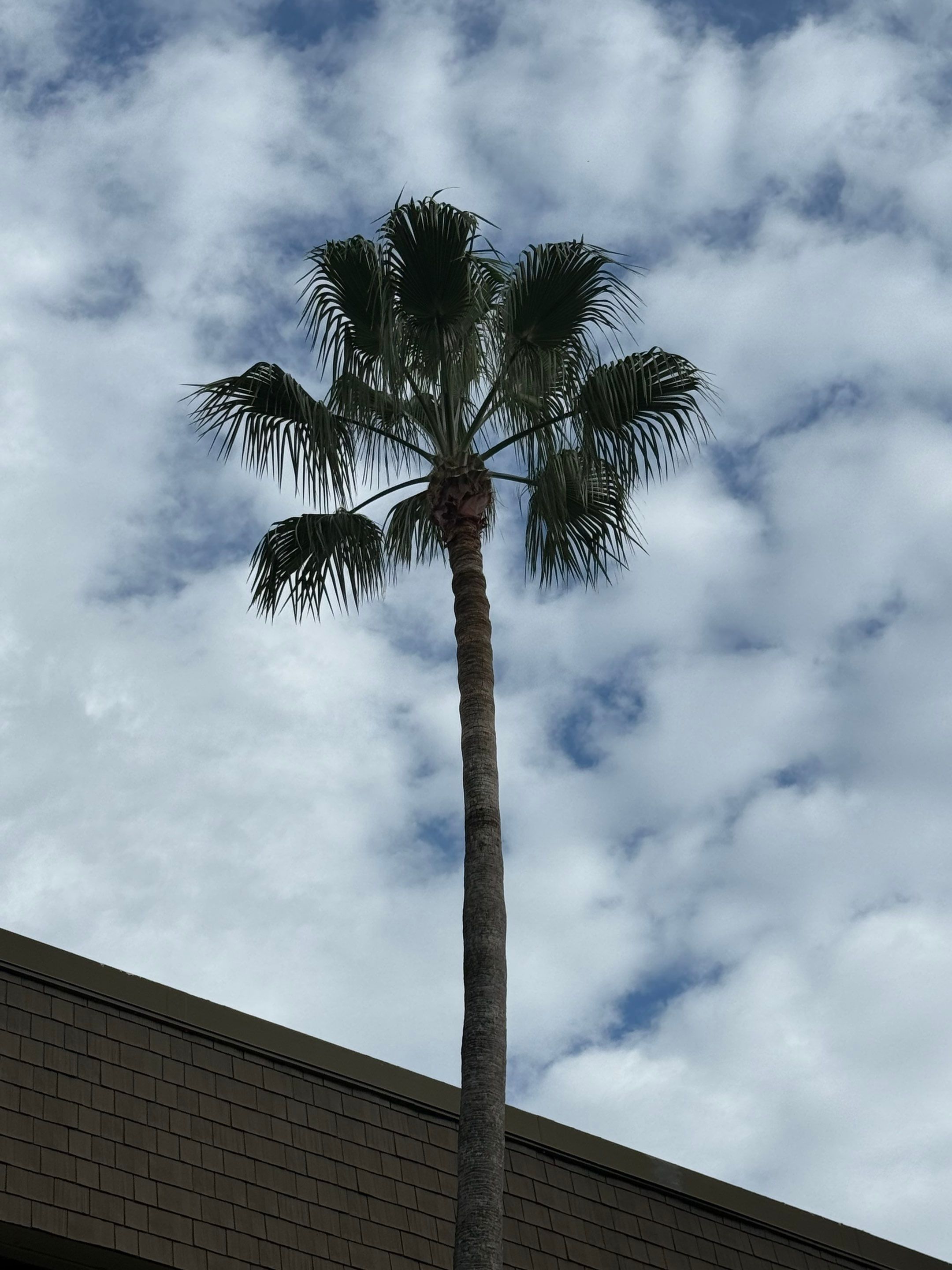 Volunteer Work | Episcopal High School of Jacksonville by ProGreen Services