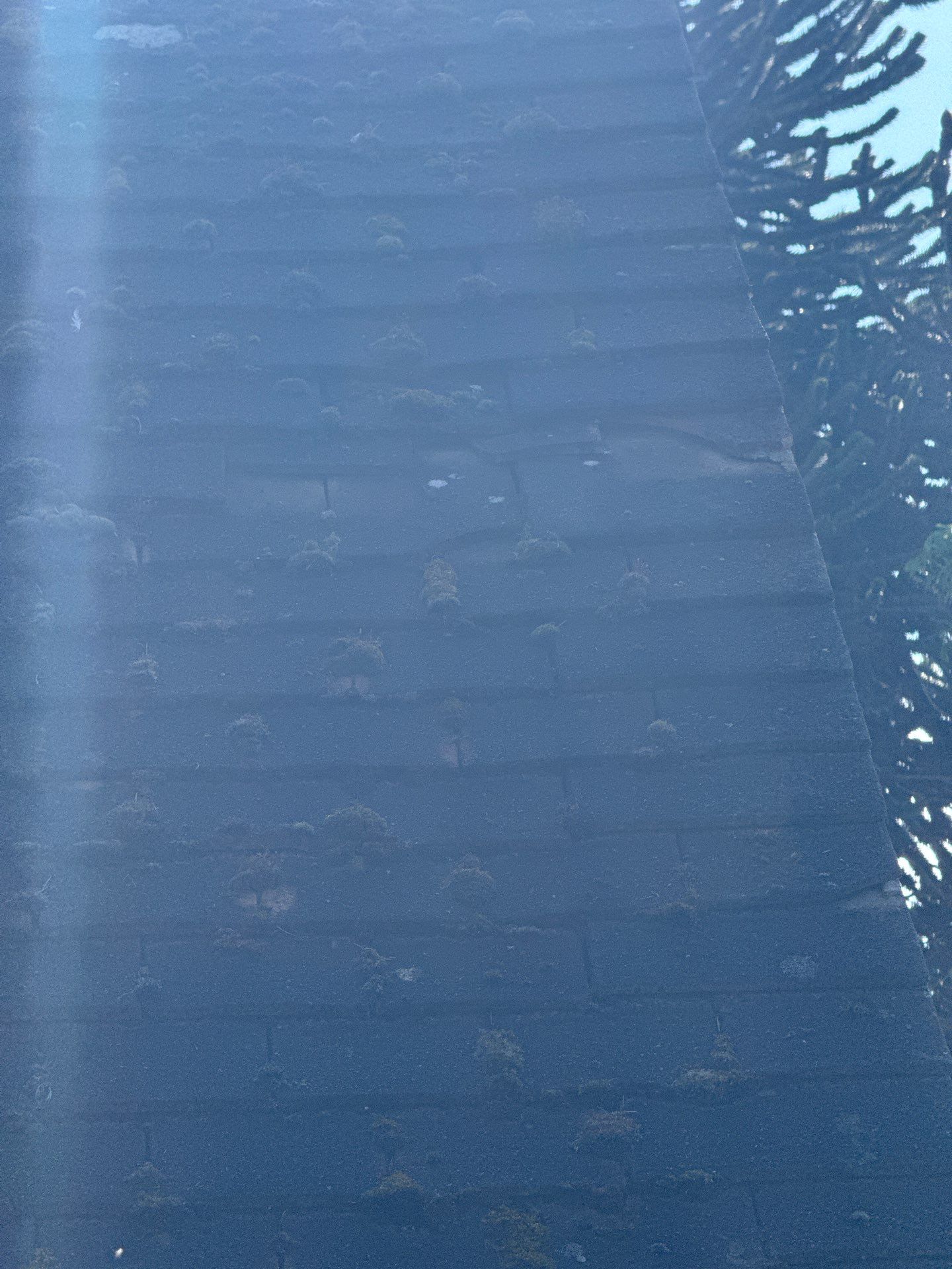 Roof Clean  - Moss Removal - Gutter Clean using Honda 15lpm Low Pressure Washing Machine by Ges Exterior Cleaning ltd