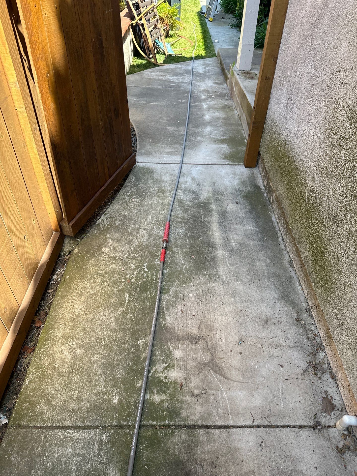 This home was COVERED in growth by Property Cleaning Experts, LLC