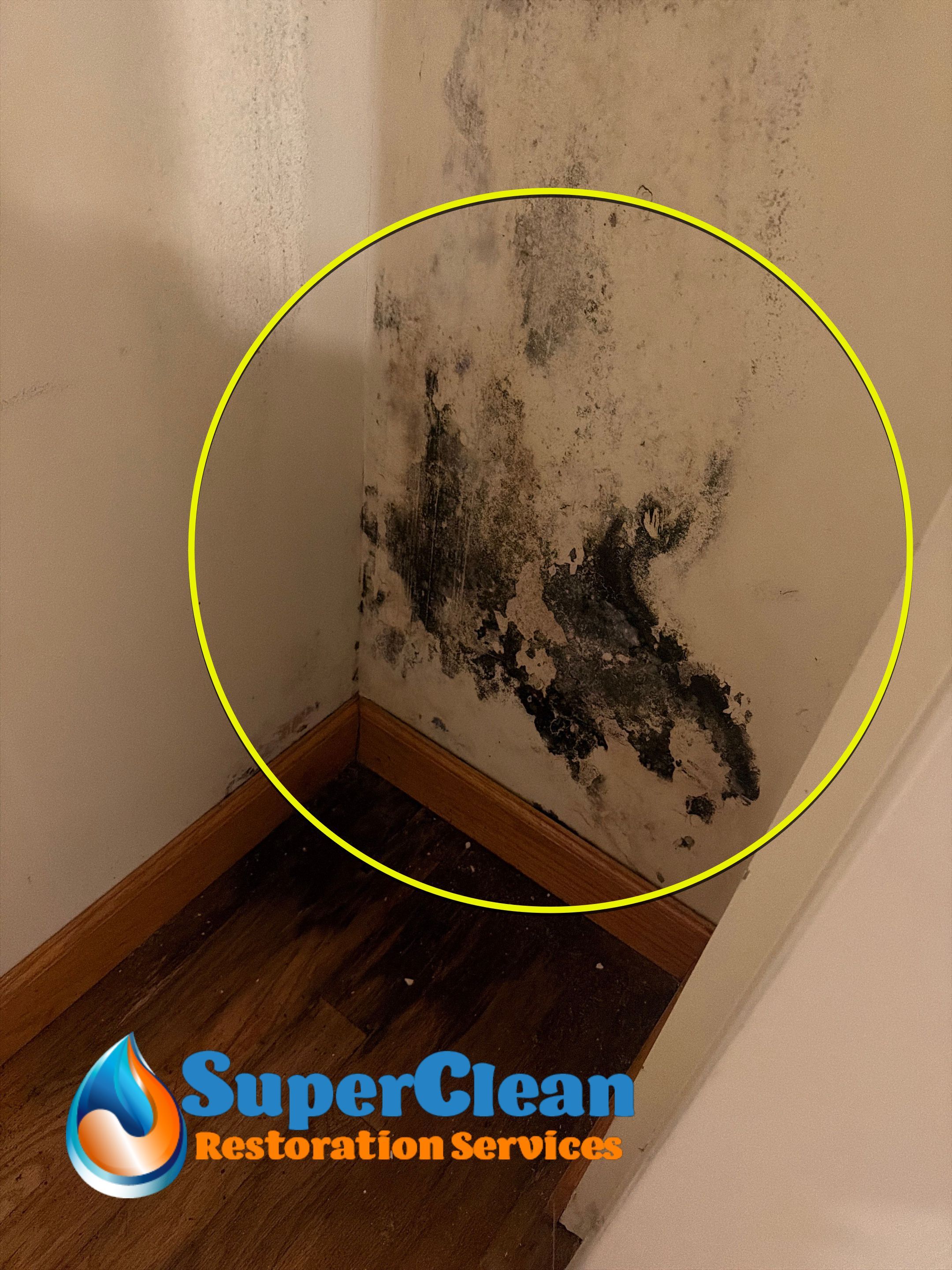 Professional Mold Remediation and Interior Water Damage Restoration in Wellington by SuperClean