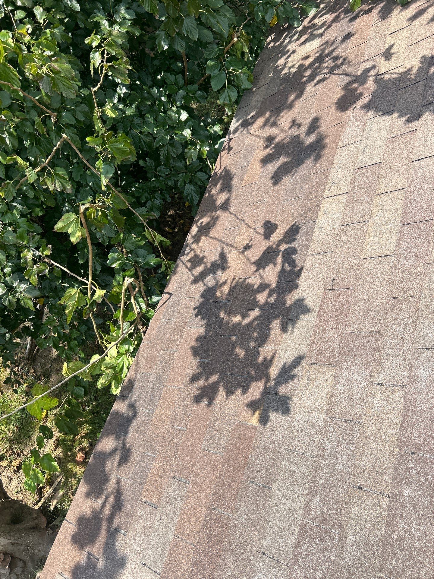 Roof Repair Houston by Roof Repair Services LLC