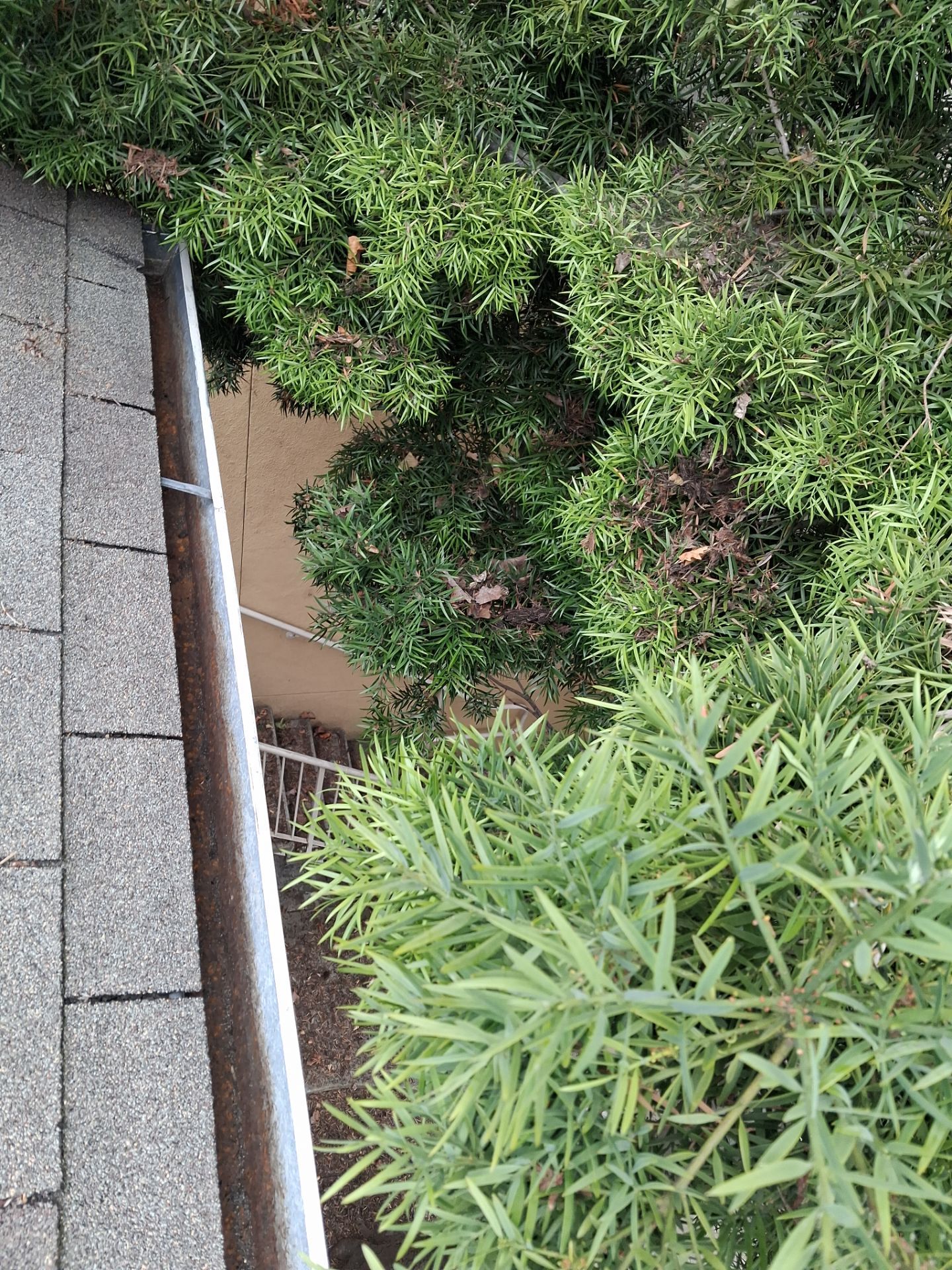Commercial gutter cleaning Santa Rosa after photo with clean gutters