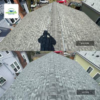 Sierra Gray Shingles