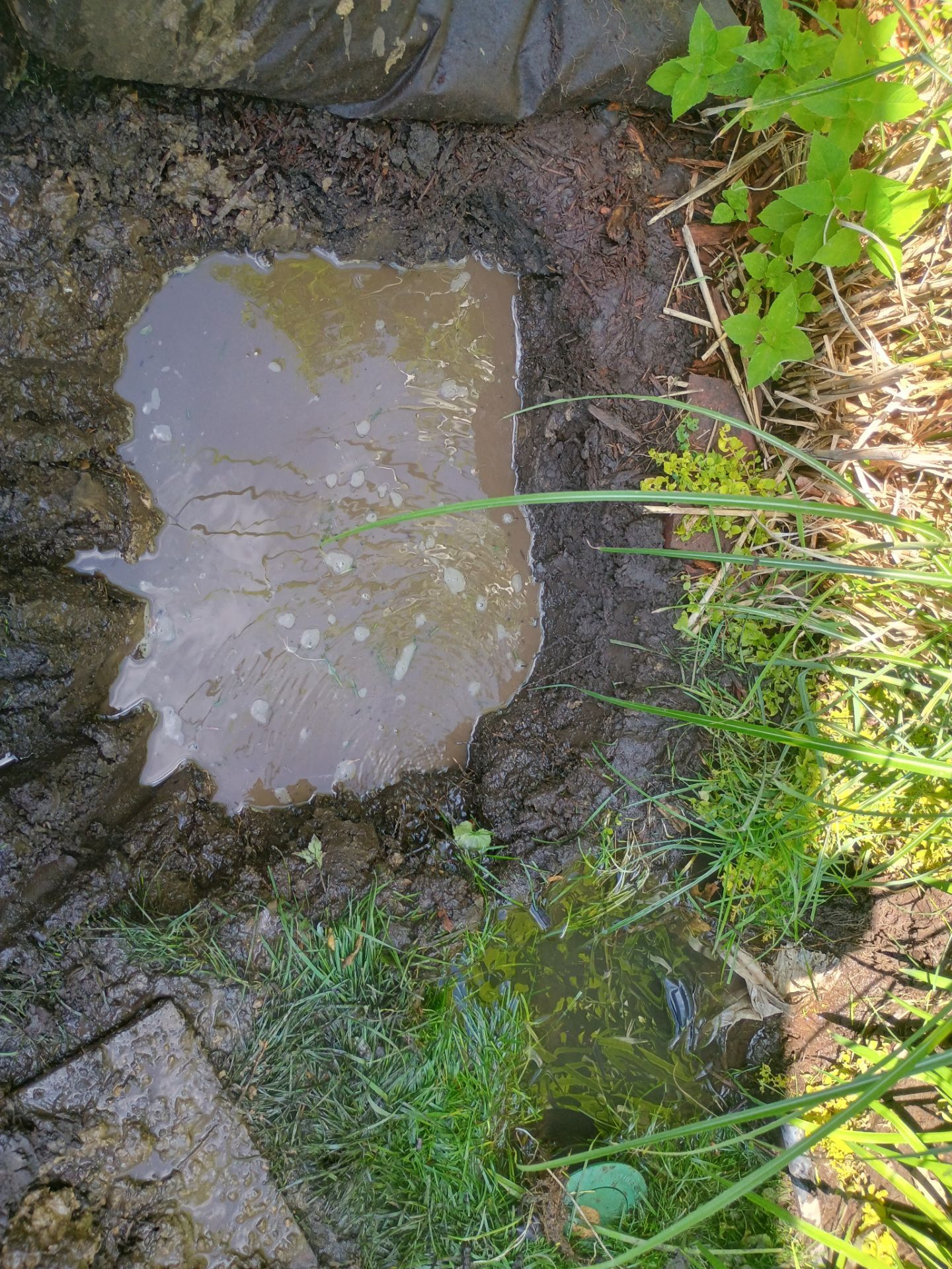 Buried Yard Drainage Installation in Plymouth, MN by Waterproofing Northeast