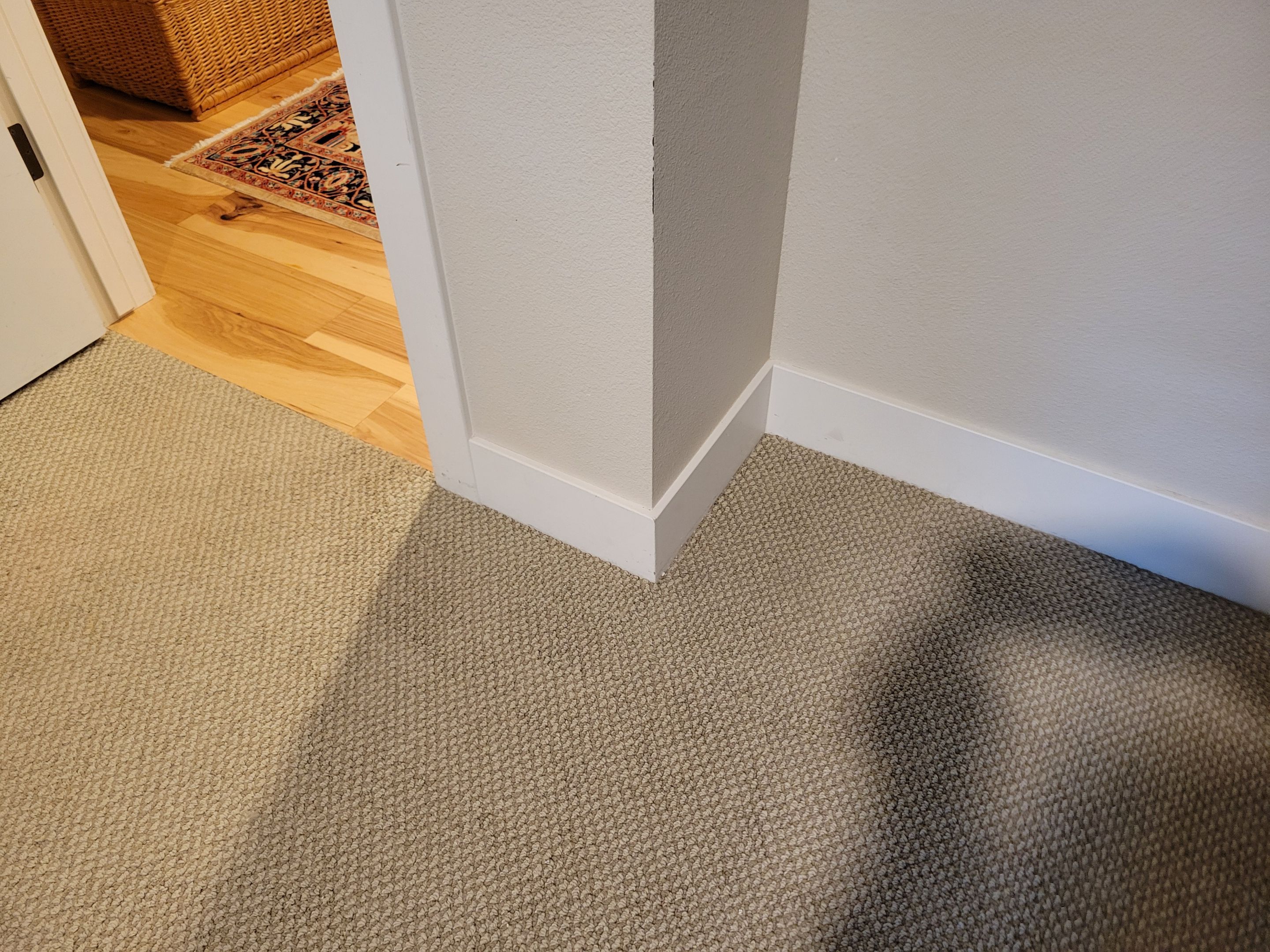 Bonded Insert Repair, Dog Damaged Carpet by Ardent Carpet Restore LLC