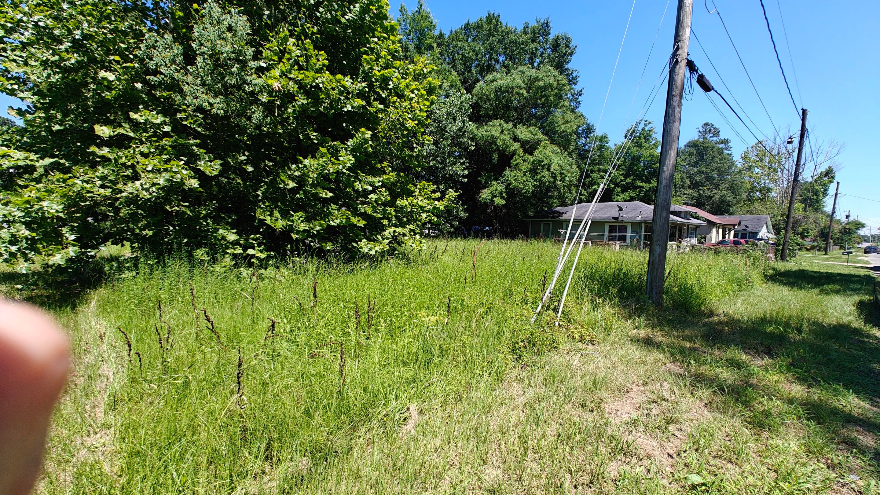 Lawn Mowing Job by College Bros Outdoor services