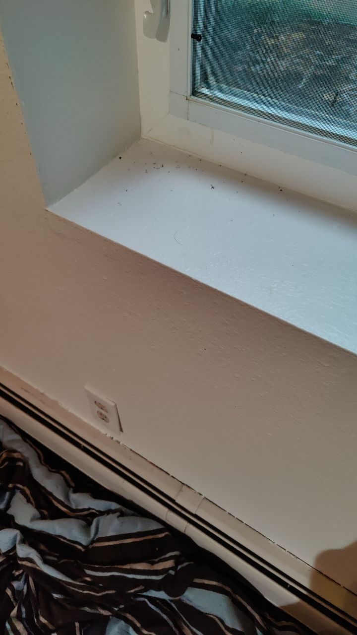 Water Damage by Accountable Home Services