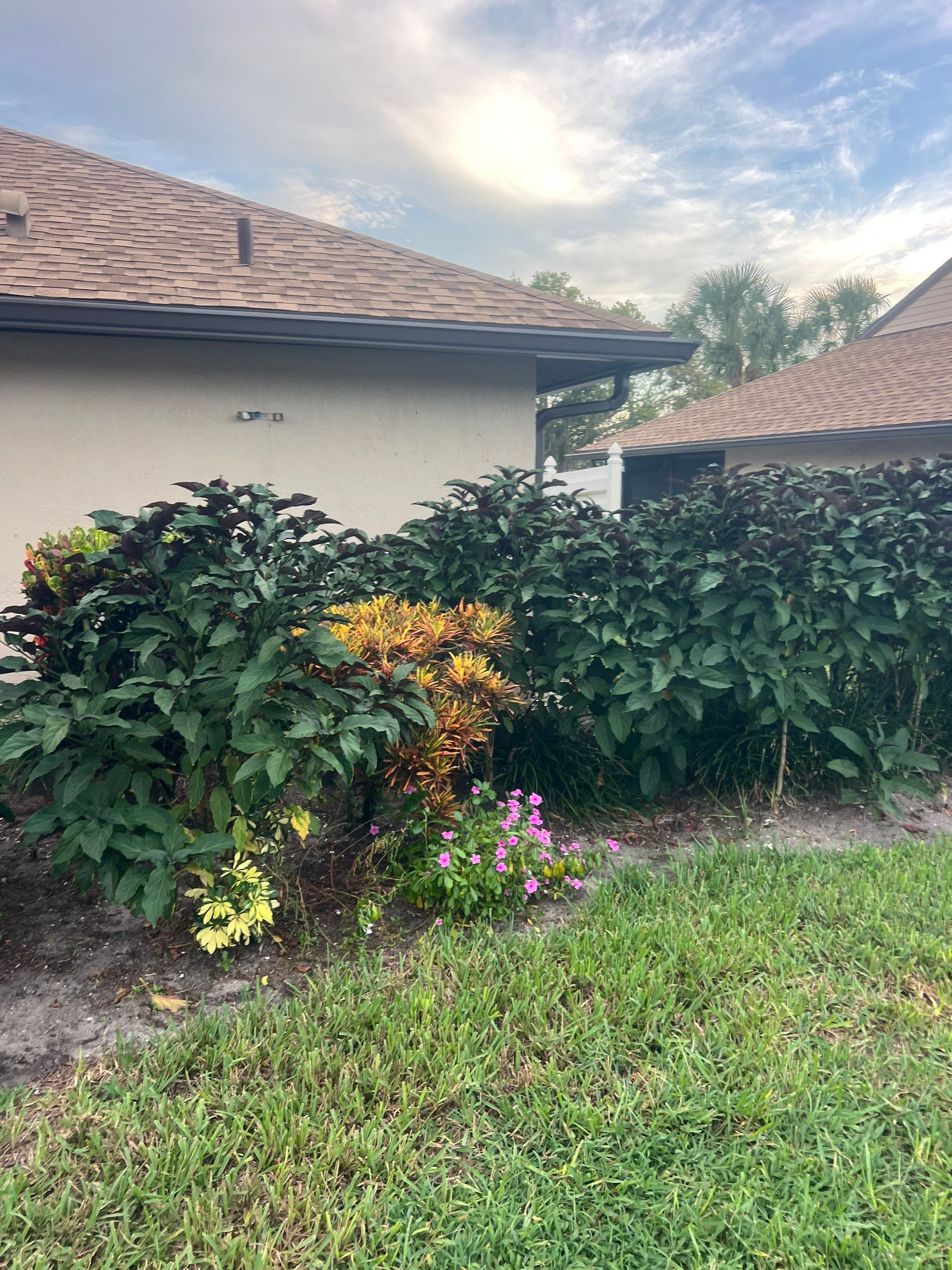 Bronze 6-Inch Seamless Gutters Installation in Bradenton FL by Gutter Professors