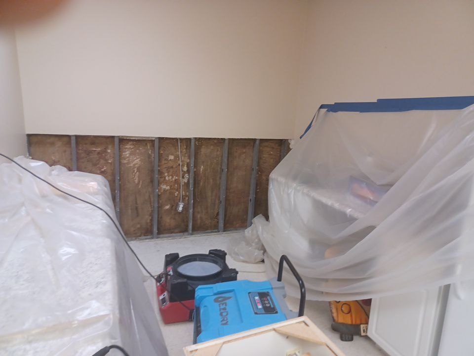 Project in Commerce Twp by EzDry Water Mitigation & Property Restoration