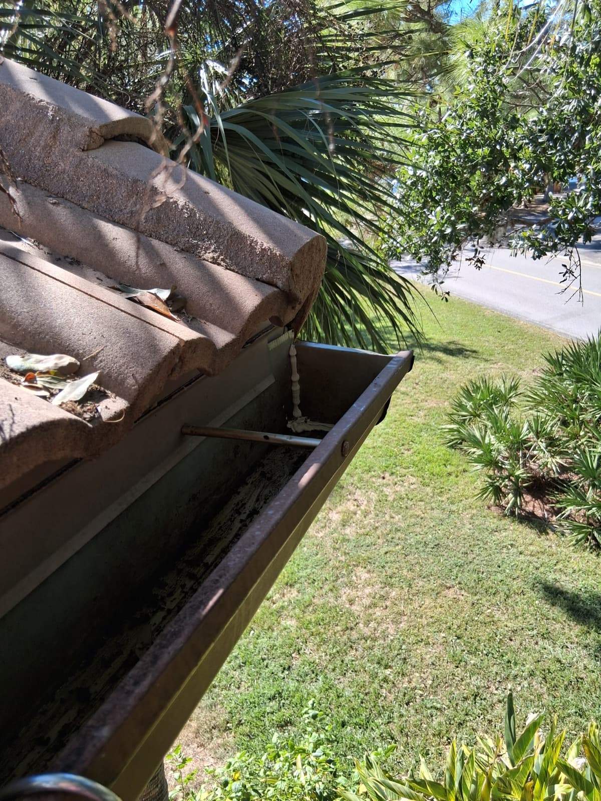 Gutter Cleaning Service in Sarasota FL by Gutter Professors