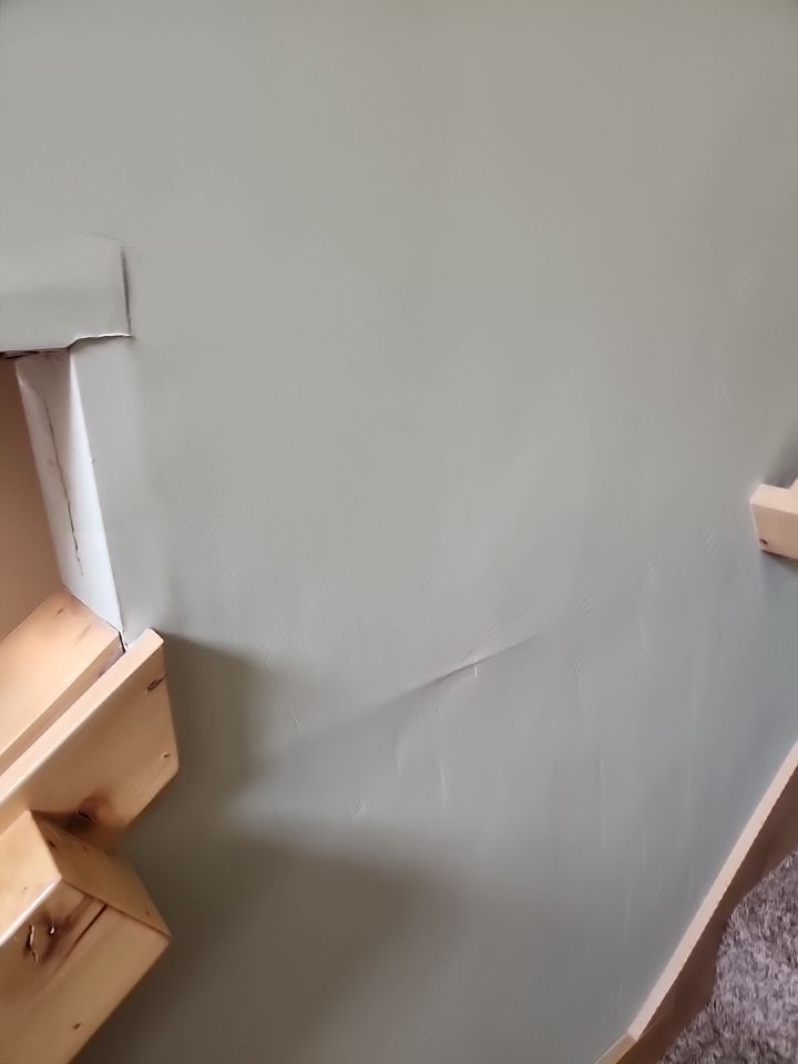 Water Damage Remediation and Generator Shed by The Tahoe Tradesman