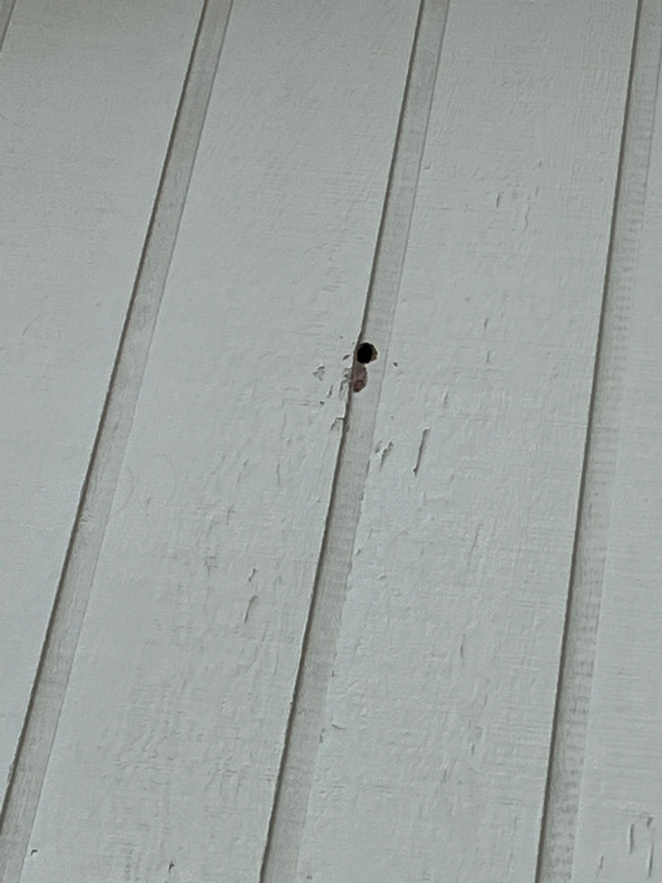 Siding Replacement using CertainTeed Restoration Classis D4 by 180 Contractors