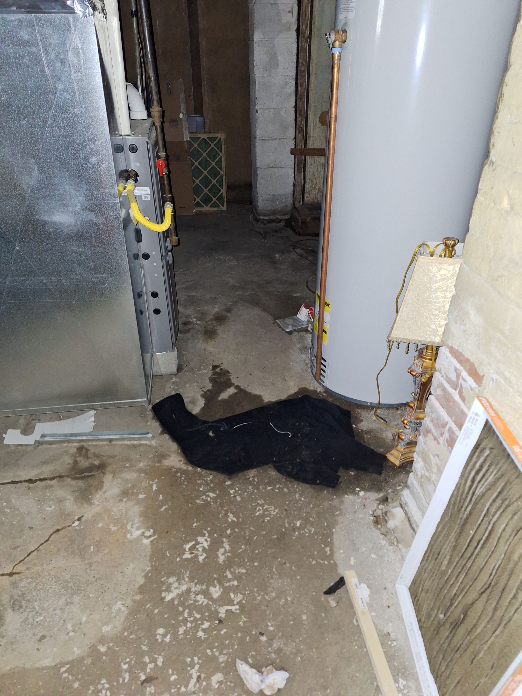 Emergency Service Sewage Cleanup in Louisville, KY by ANR Restoration
