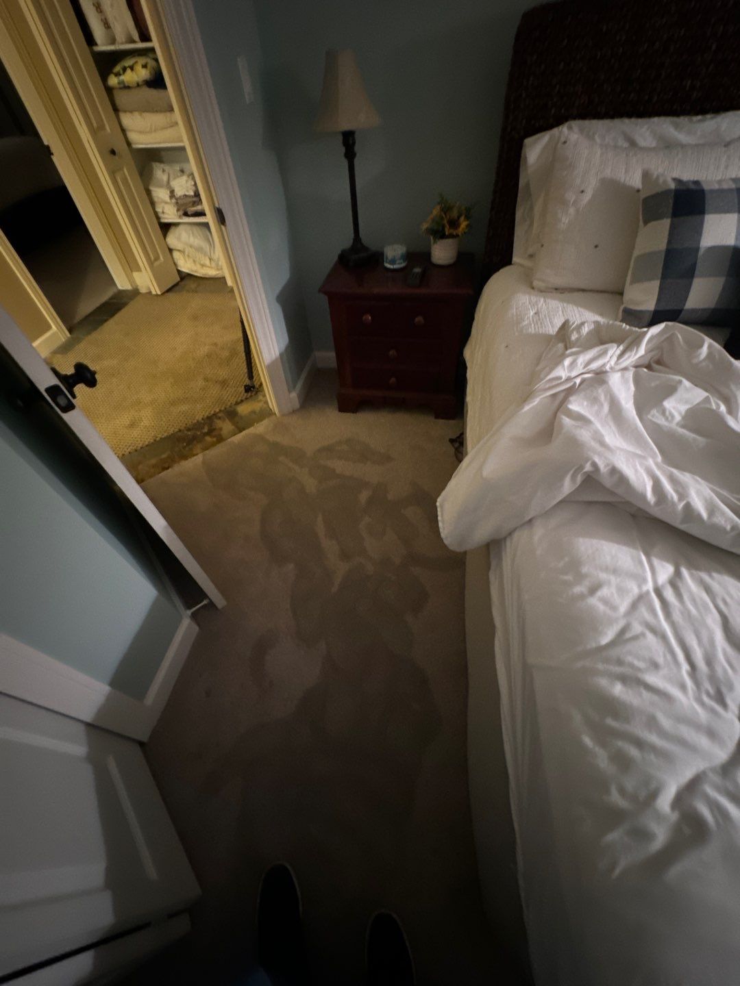 Project in Commerce Charter Twp by EzDry Water Mitigation & Property Restoration