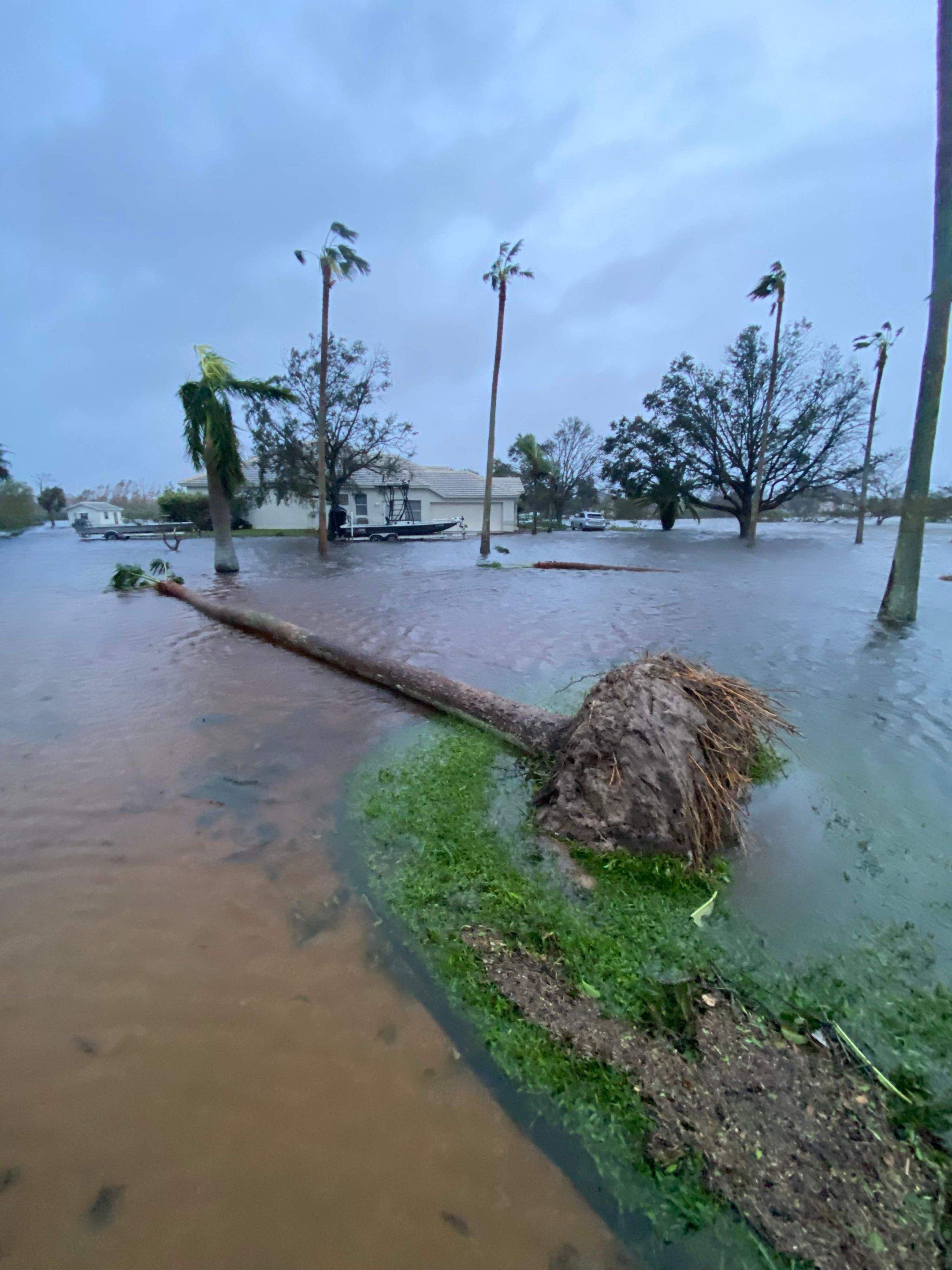 Inspection Highlights by EC Claims, LLC