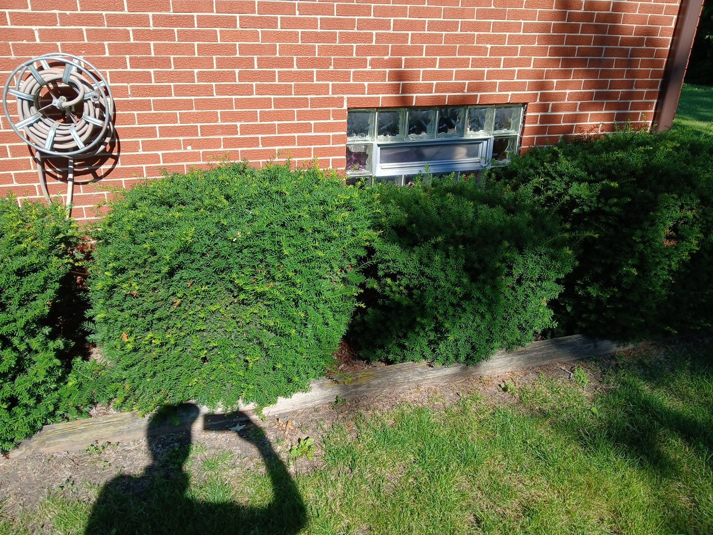 Martha C. - Mount Prospect, IL by A&N 