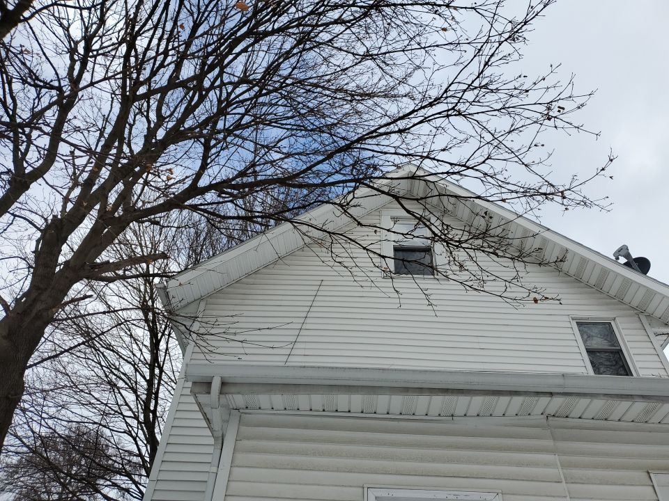 Tree Trimming using Tree Pruing by Mike Jones & Sons Tree Service LLC 