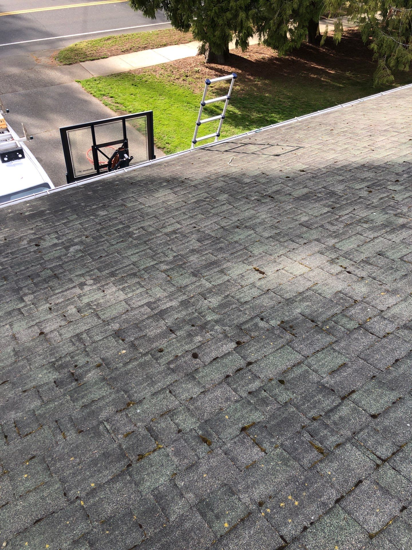 Project in Lynden by Connolly Construction Company