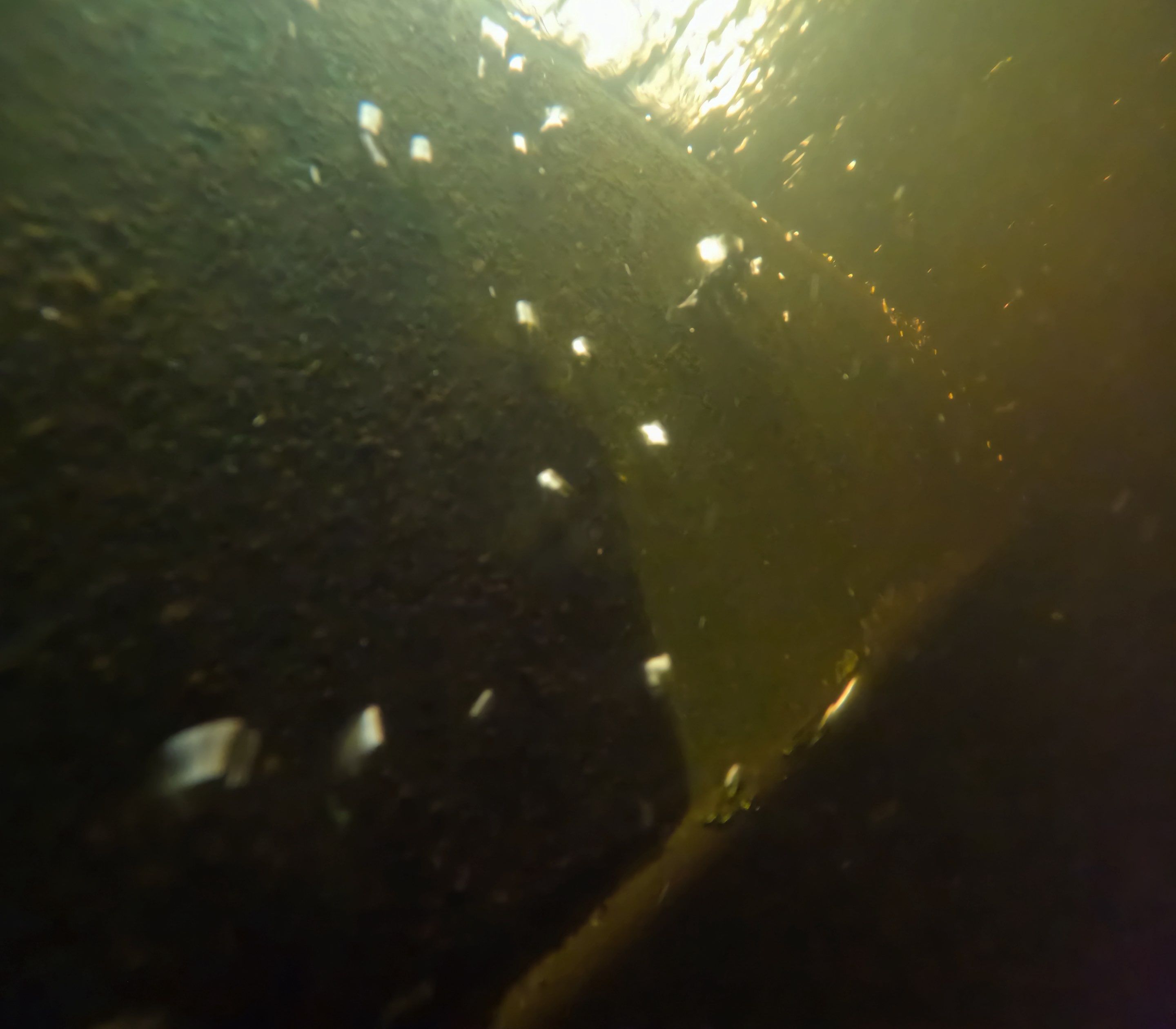 Project in North Fort Myers, FL by Florida Hull Cleaning 