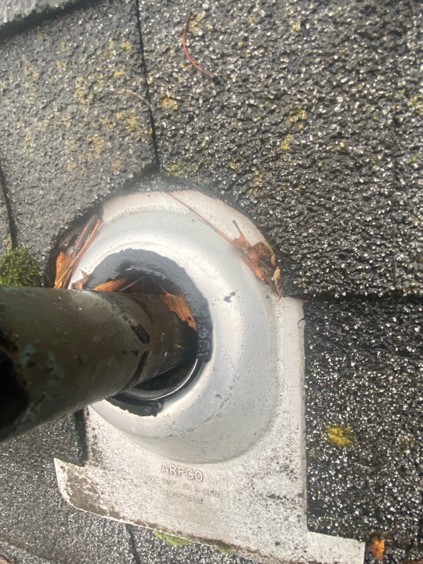 roof  by D Pacific Restoration LLC