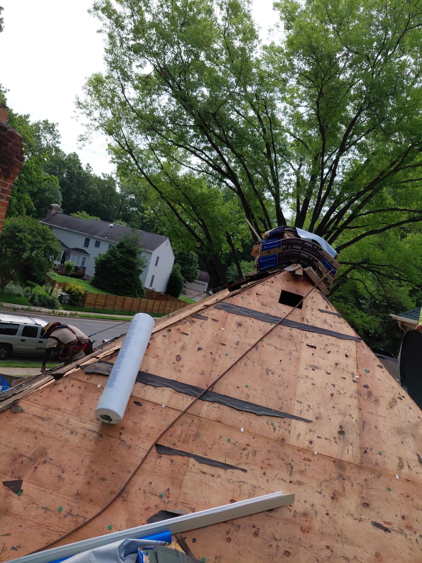 Springfield: Roof Replacement with CertainTeed Landmark Pro in Max Def Evergreen by RM Banning, Inc.