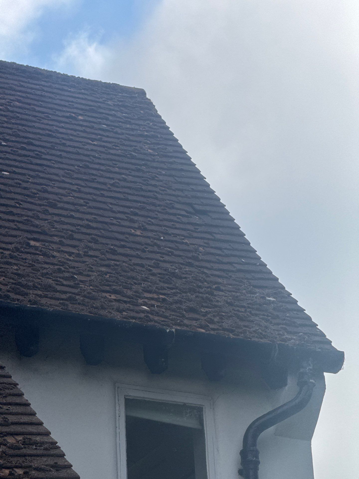 Roof Clean  - Moss Removal - Gutter Clean using Honda 15lpm Low Pressure Washing Machine by Ges Exterior Cleaning ltd