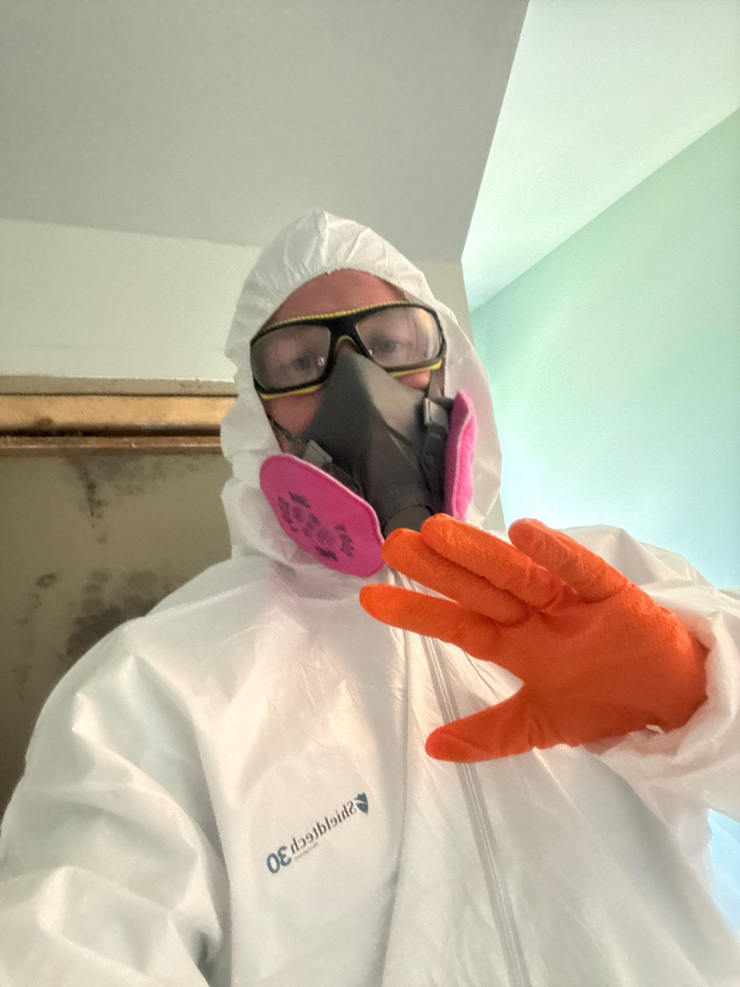 Major Mold Remediation Project by Home Disaster Medics