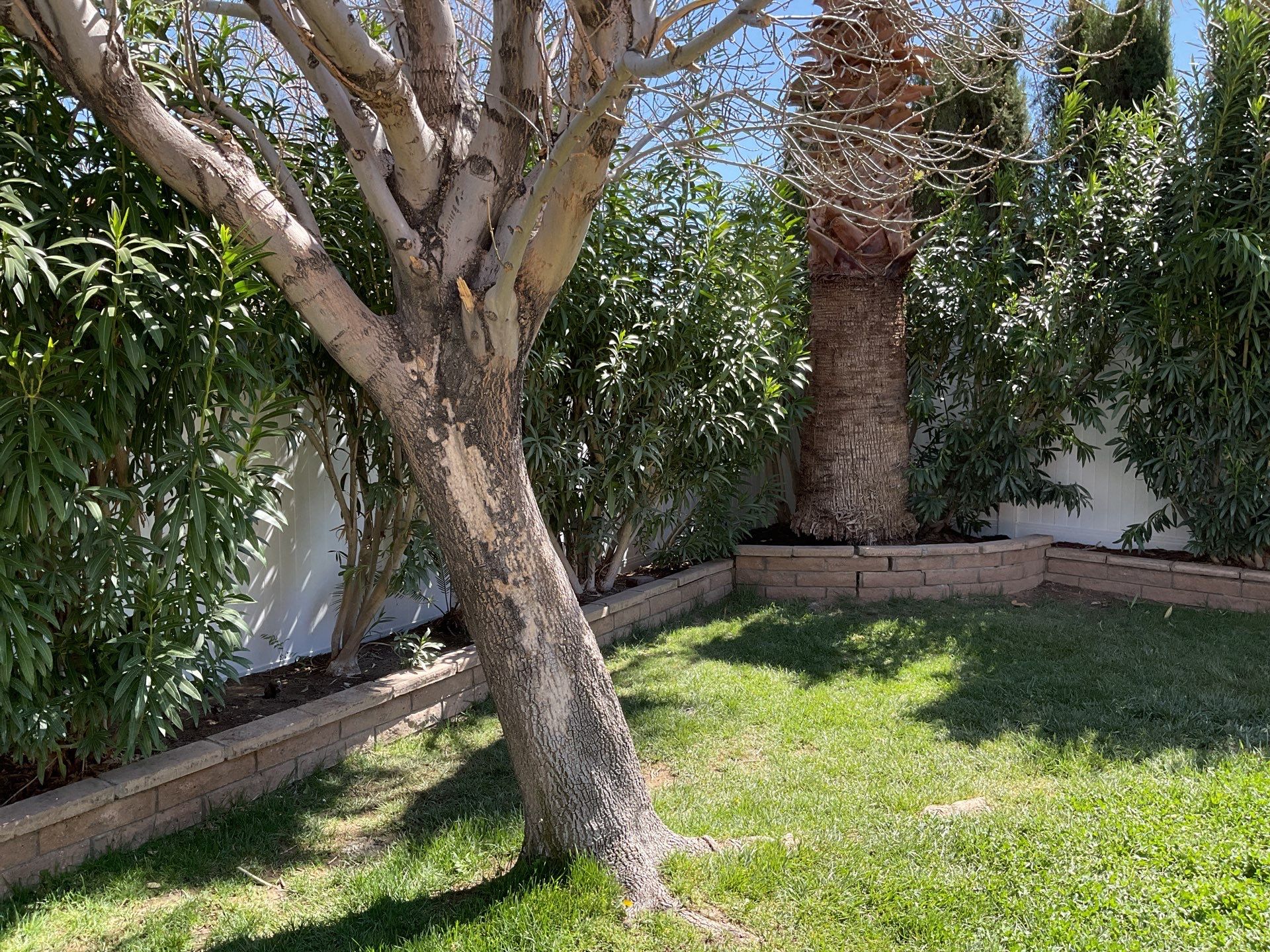 Fence Installation using Vinyl by Fence Guys Inc.